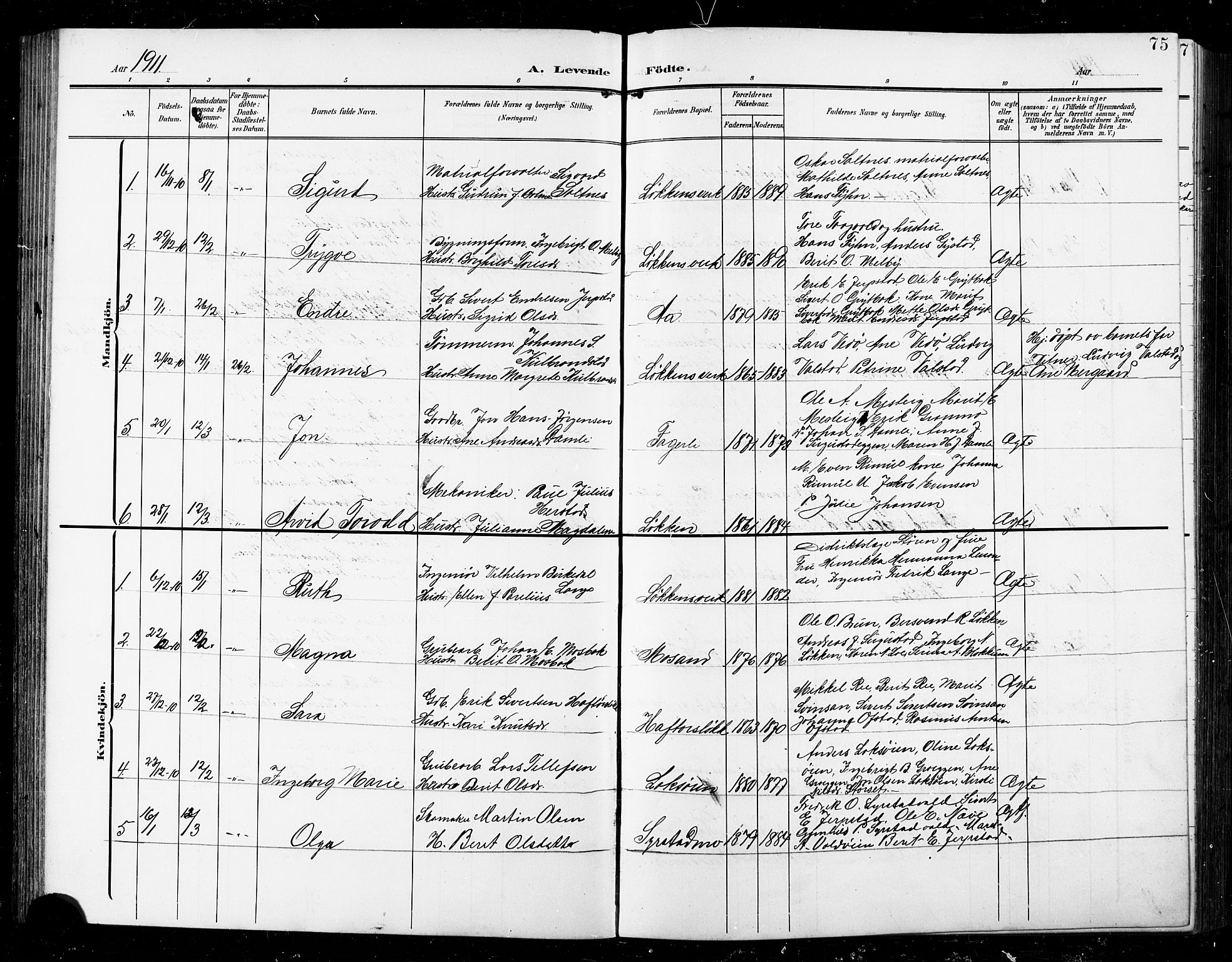 Ministerialprotokoller, klokkerbøker og fødselsregistre - Sør-Trøndelag, AV/SAT-A-1456/672/L0864: Klokkerbok nr. 672C03, 1902-1914, s. 75