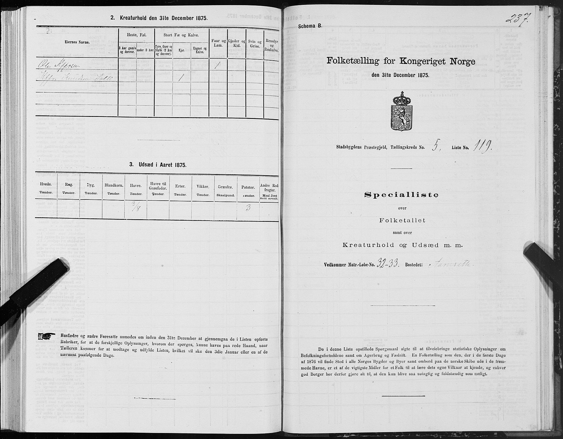 SAT, Folketelling 1875 for 1625P Stadsbygd prestegjeld, 1875, s. 3237