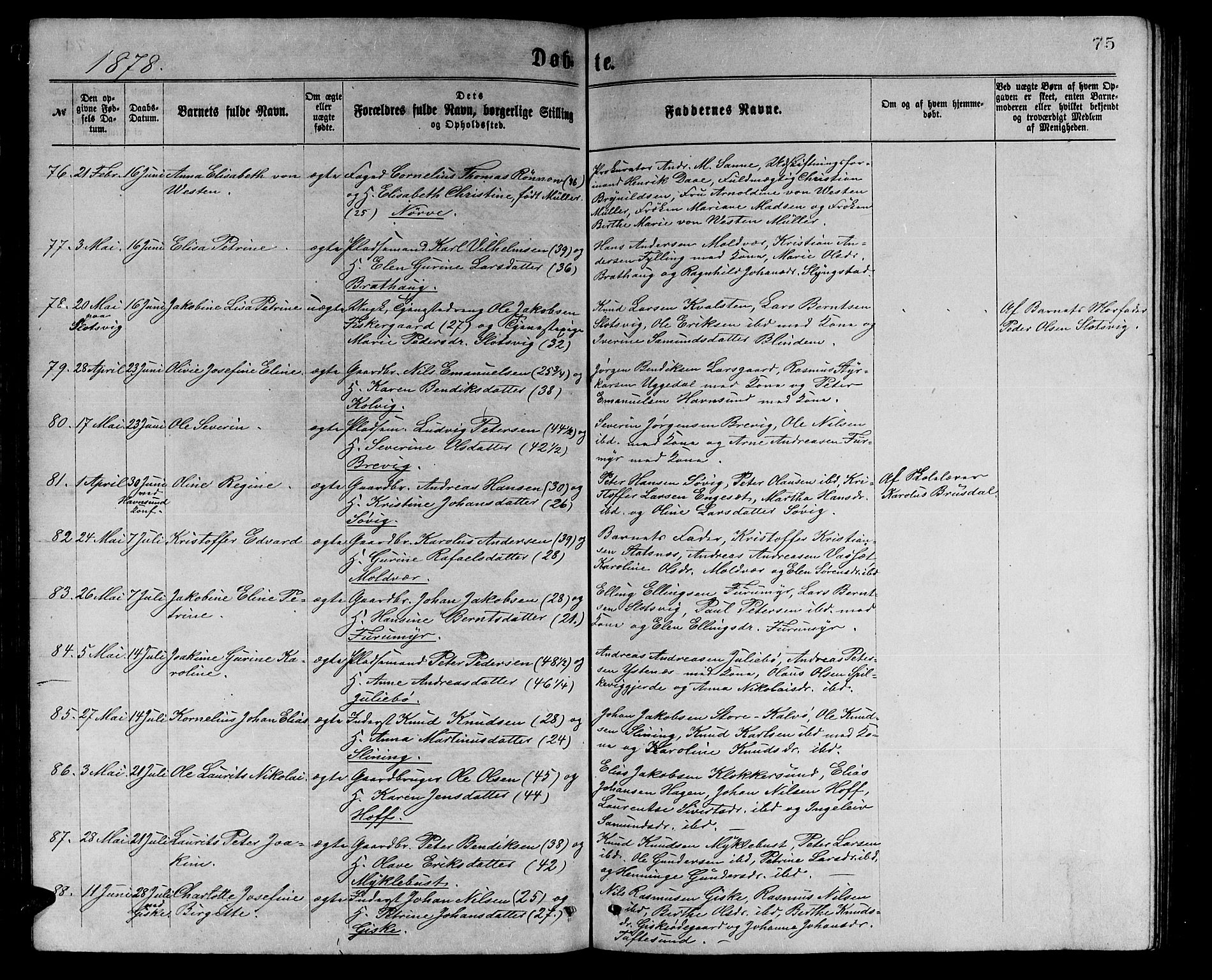 Ministerialprotokoller, klokkerbøker og fødselsregistre - Møre og Romsdal, AV/SAT-A-1454/528/L0429: Klokkerbok nr. 528C10, 1872-1886, s. 75