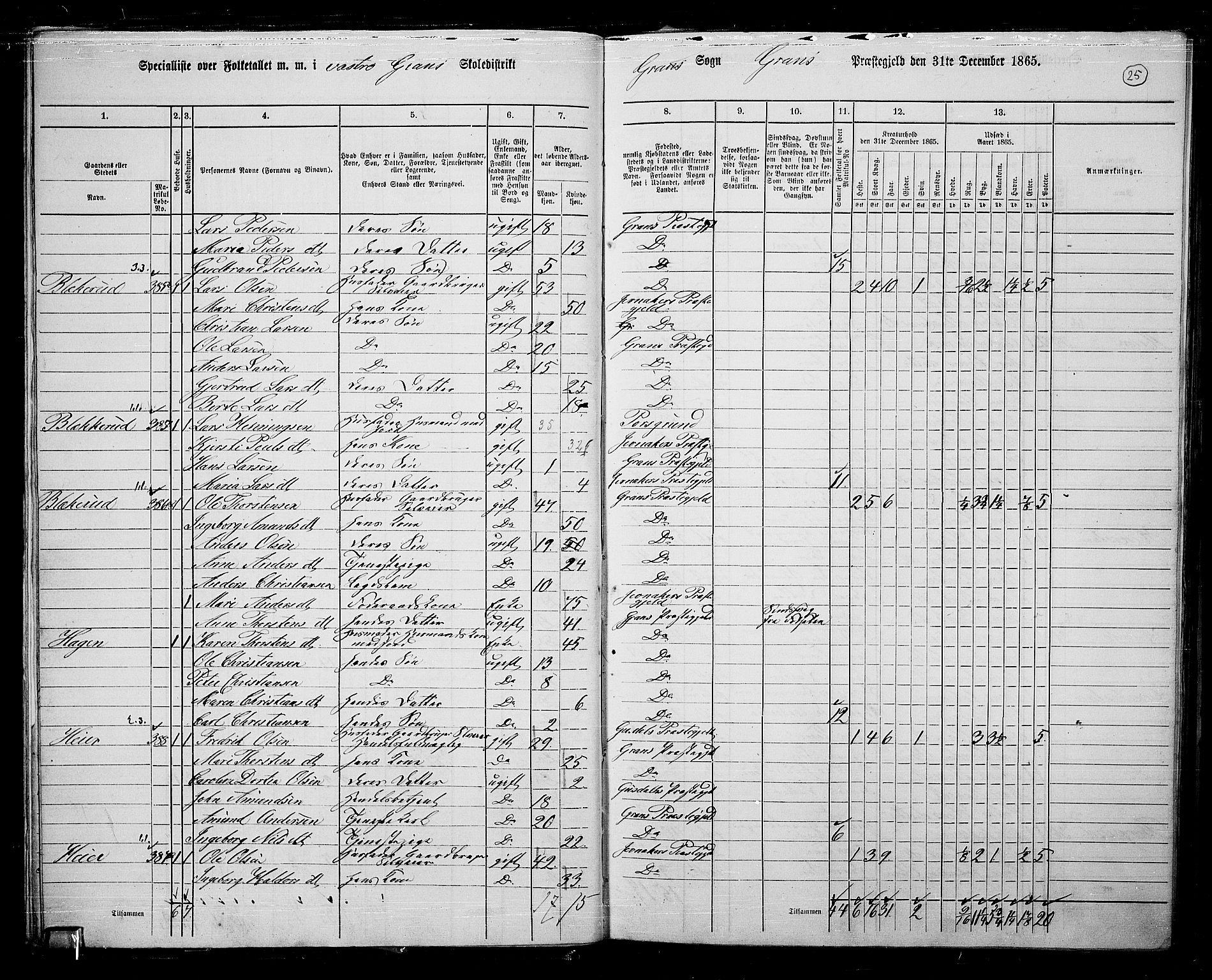 RA, Folketelling 1865 for 0534P Gran prestegjeld, 1865, s. 22