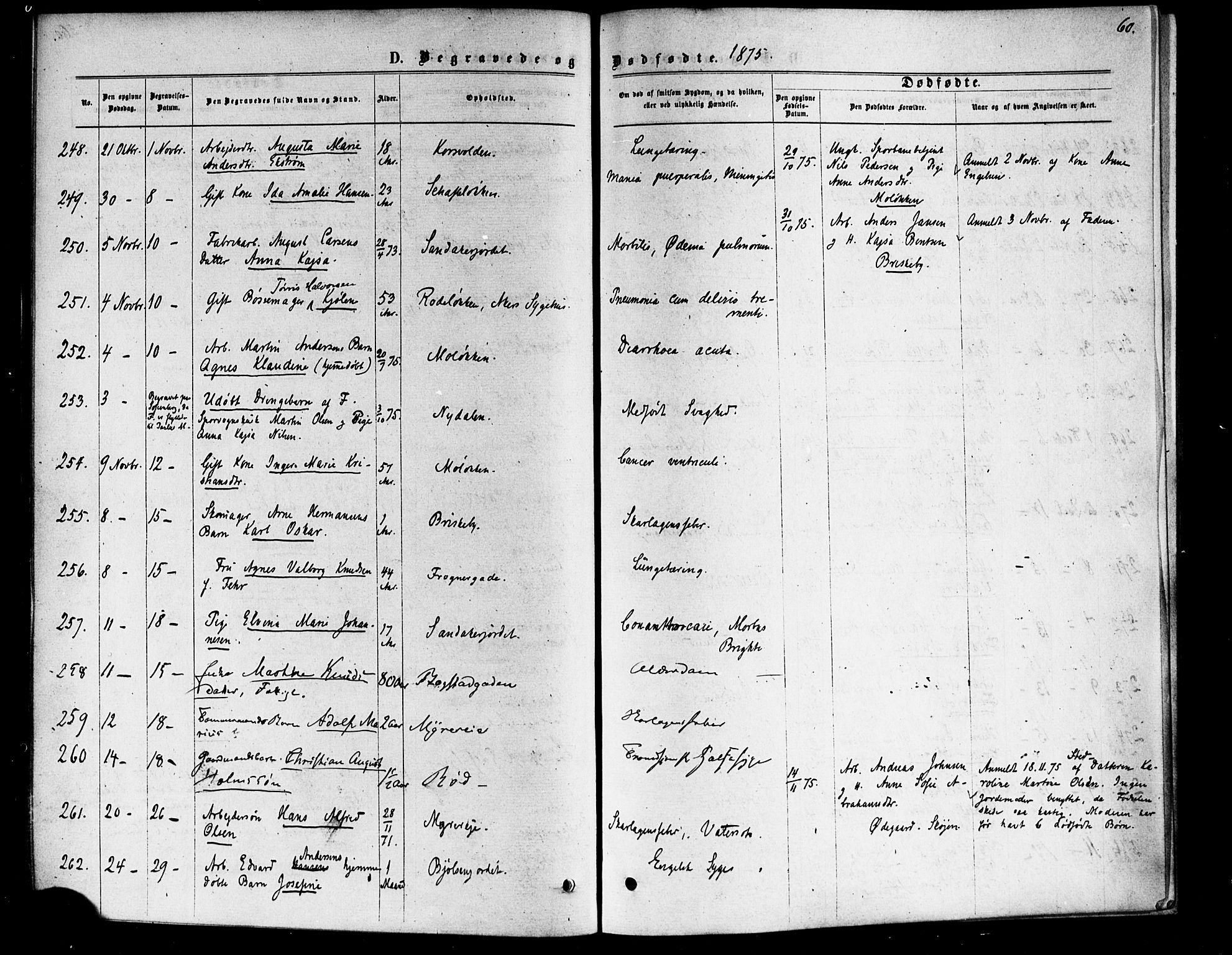 Vestre Aker prestekontor Kirkebøker, AV/SAO-A-10025/F/Fa/L0006: Ministerialbok nr. 6, 1873-1886, s. 60
