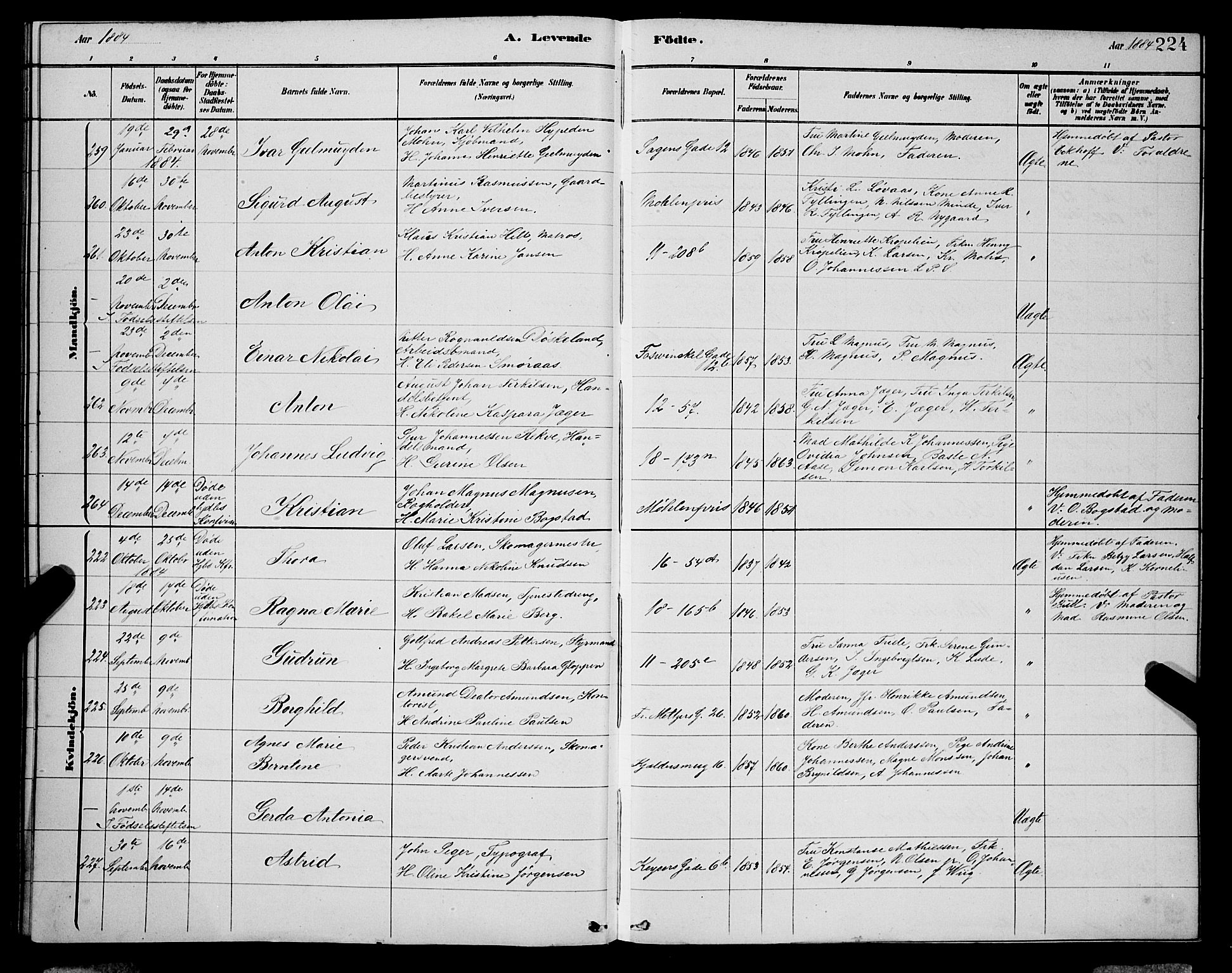 Domkirken sokneprestembete, AV/SAB-A-74801/H/Hab/L0015: Klokkerbok nr. B 8, 1879-1887, s. 224