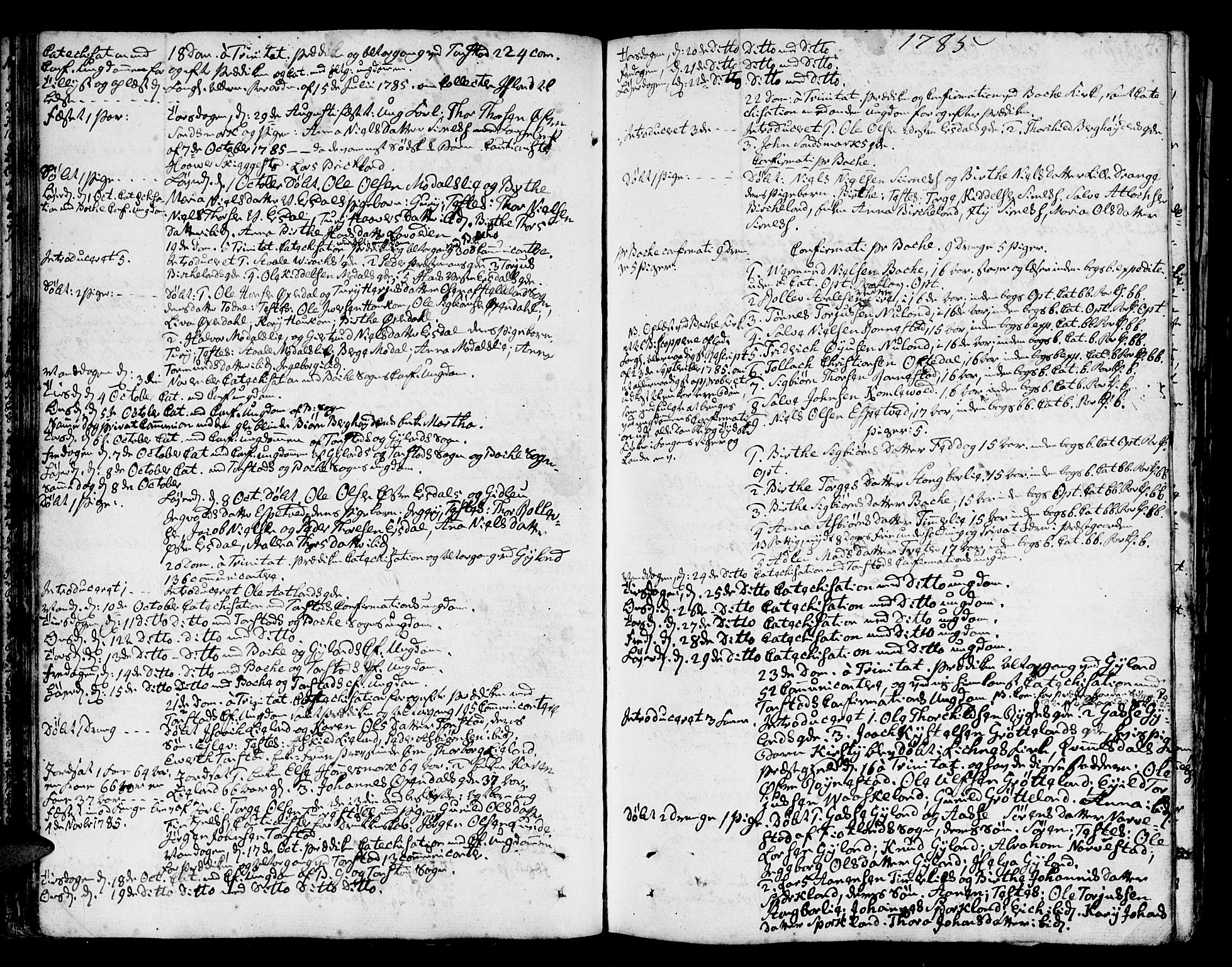 Bakke sokneprestkontor, AV/SAK-1111-0002/F/Fa/Faa/L0002: Ministerialbok nr. A 2, 1780-1816, s. 43