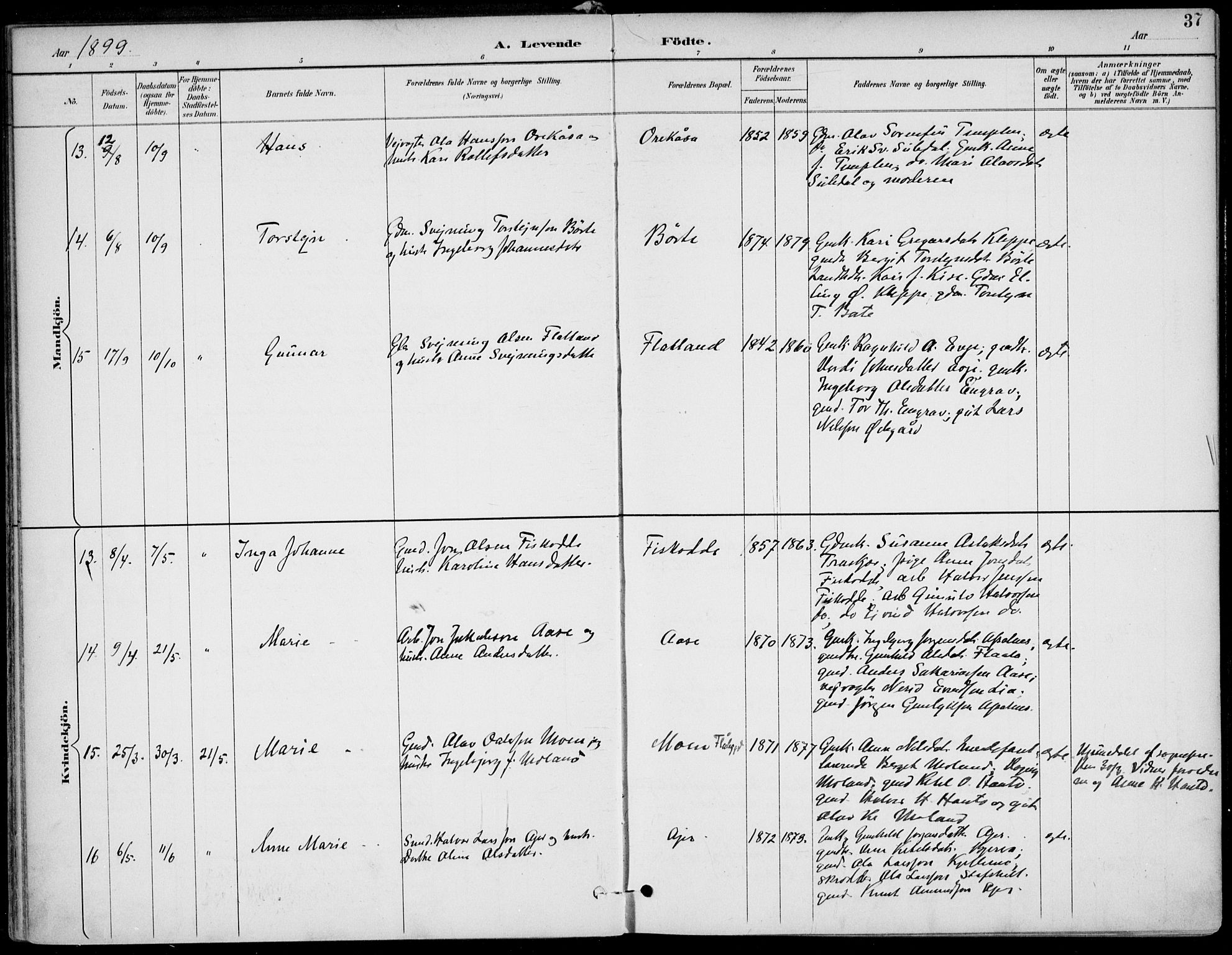Lunde kirkebøker, AV/SAKO-A-282/F/Fa/L0003: Ministerialbok nr. I 3, 1893-1902, s. 37