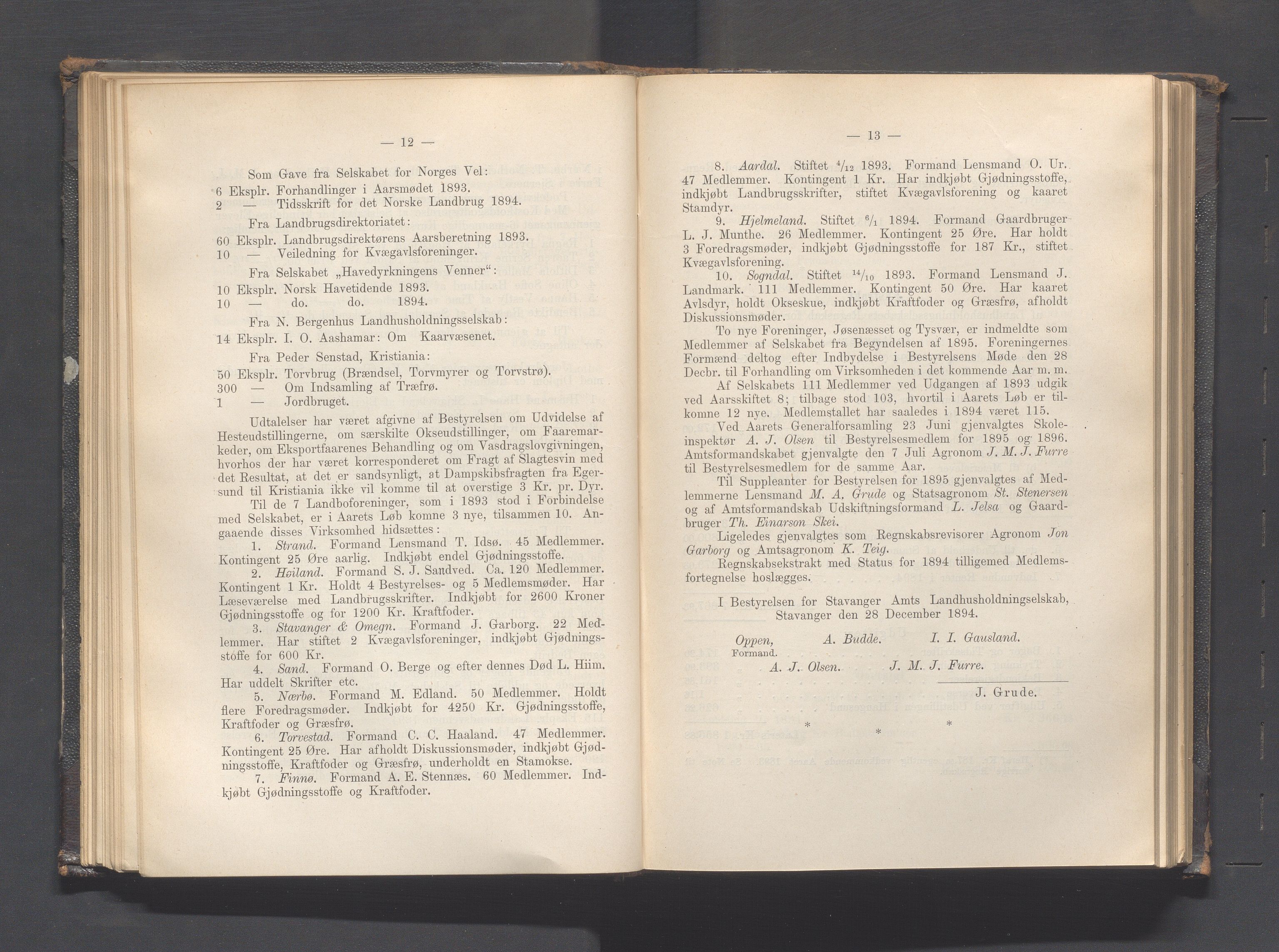 Rogaland fylkeskommune - Fylkesrådmannen , IKAR/A-900/A, 1895, s. 80