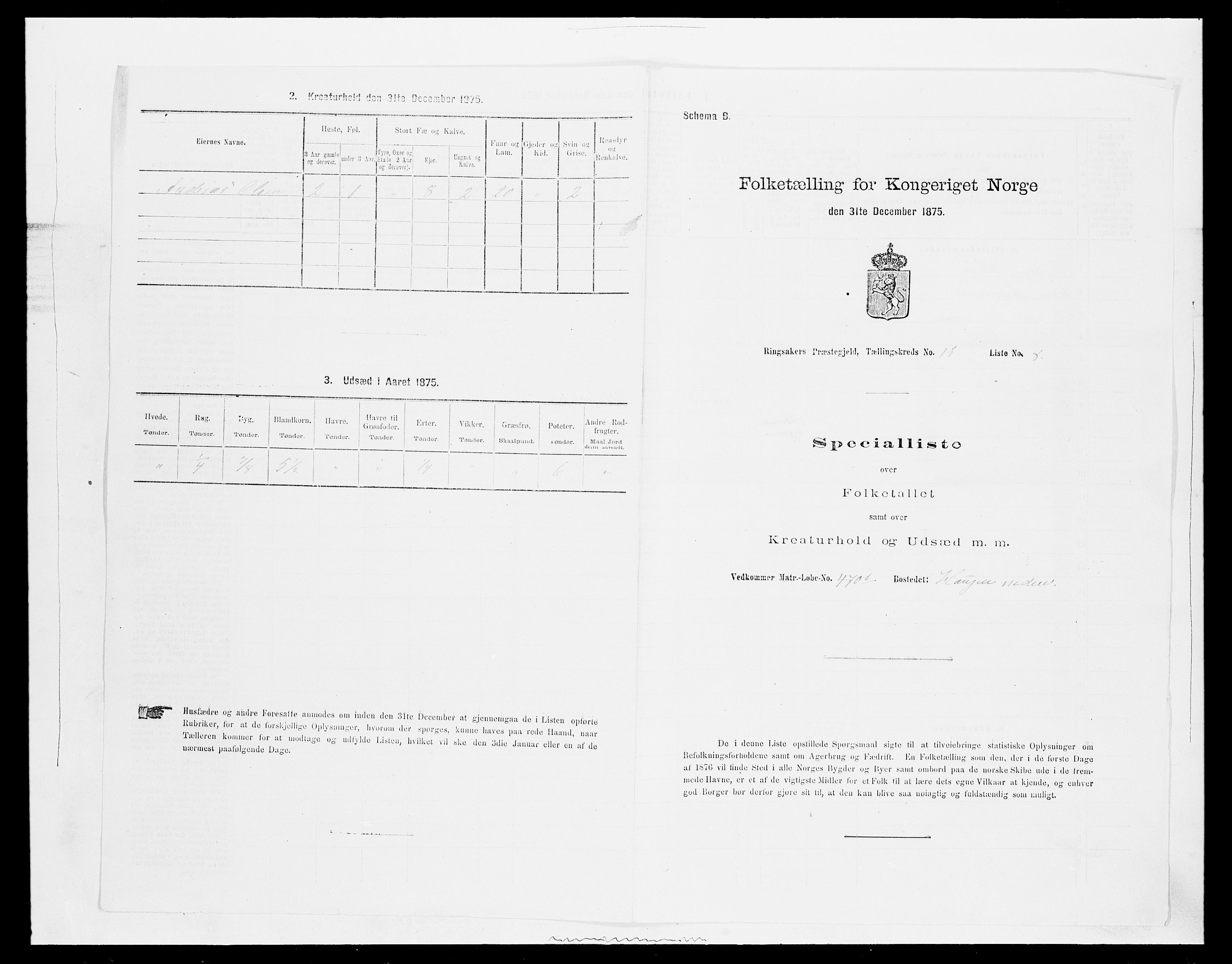 SAH, Folketelling 1875 for 0412P Ringsaker prestegjeld, 1875, s. 3572