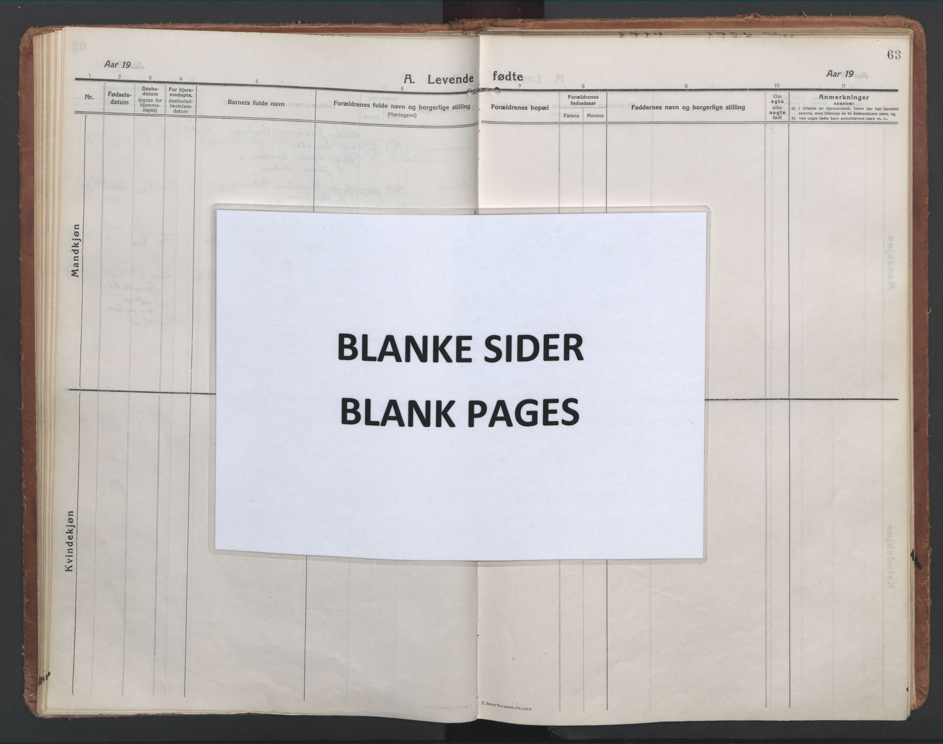 Ministerialprotokoller, klokkerbøker og fødselsregistre - Nordland, AV/SAT-A-1459/886/L1222: Ministerialbok nr. 886A04, 1914-1926, s. 63