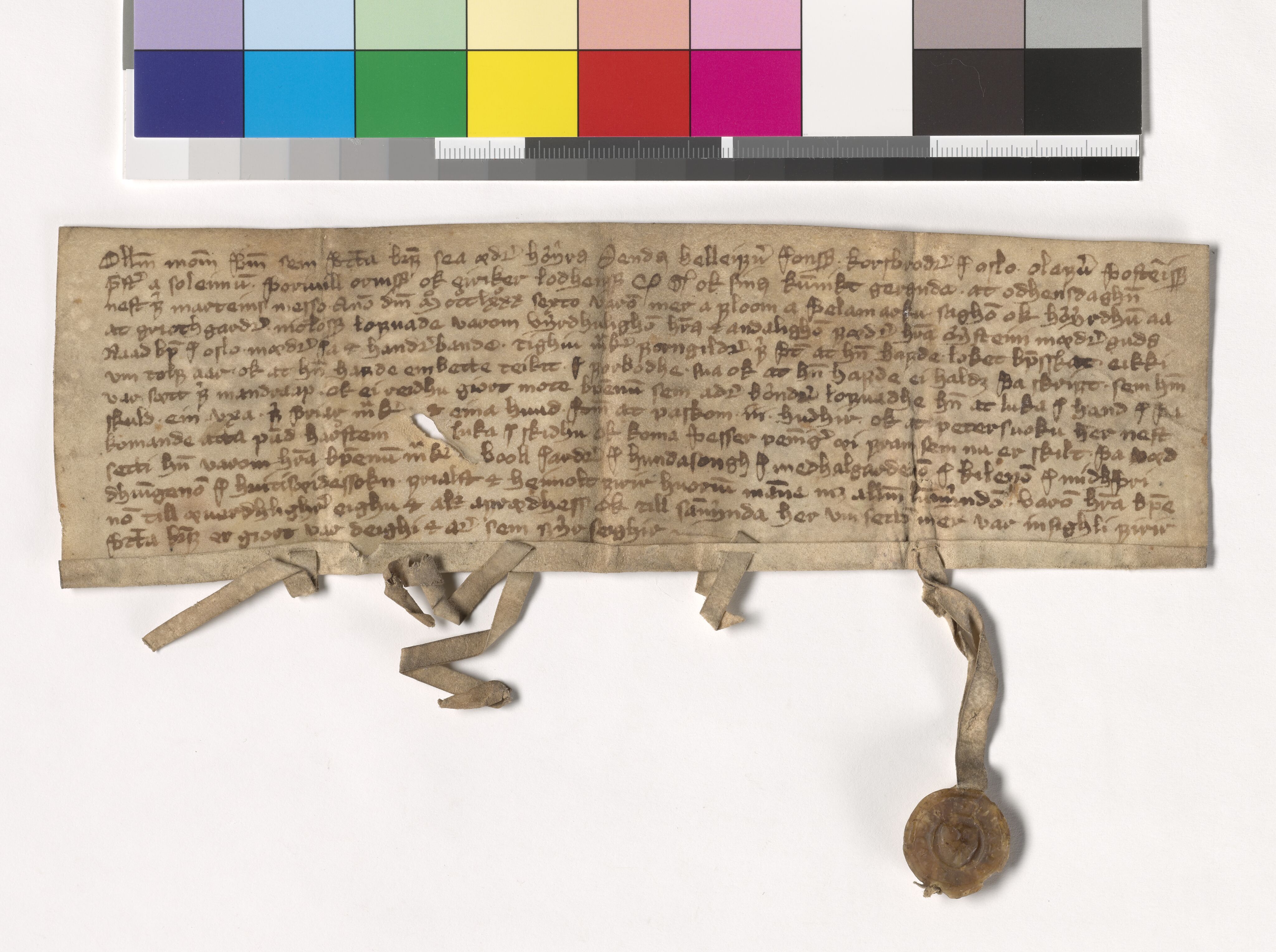Riksarkivets diplomsamling, AV/RA-EA-5965/F05/L0185: NRA AM fasc. 75 nr. 3-9, 1386-1387, s. 6