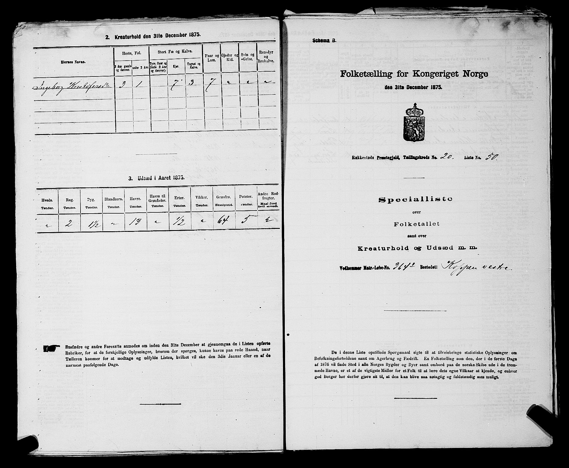 RA, Folketelling 1875 for 0128P Rakkestad prestegjeld, 1875, s. 2172