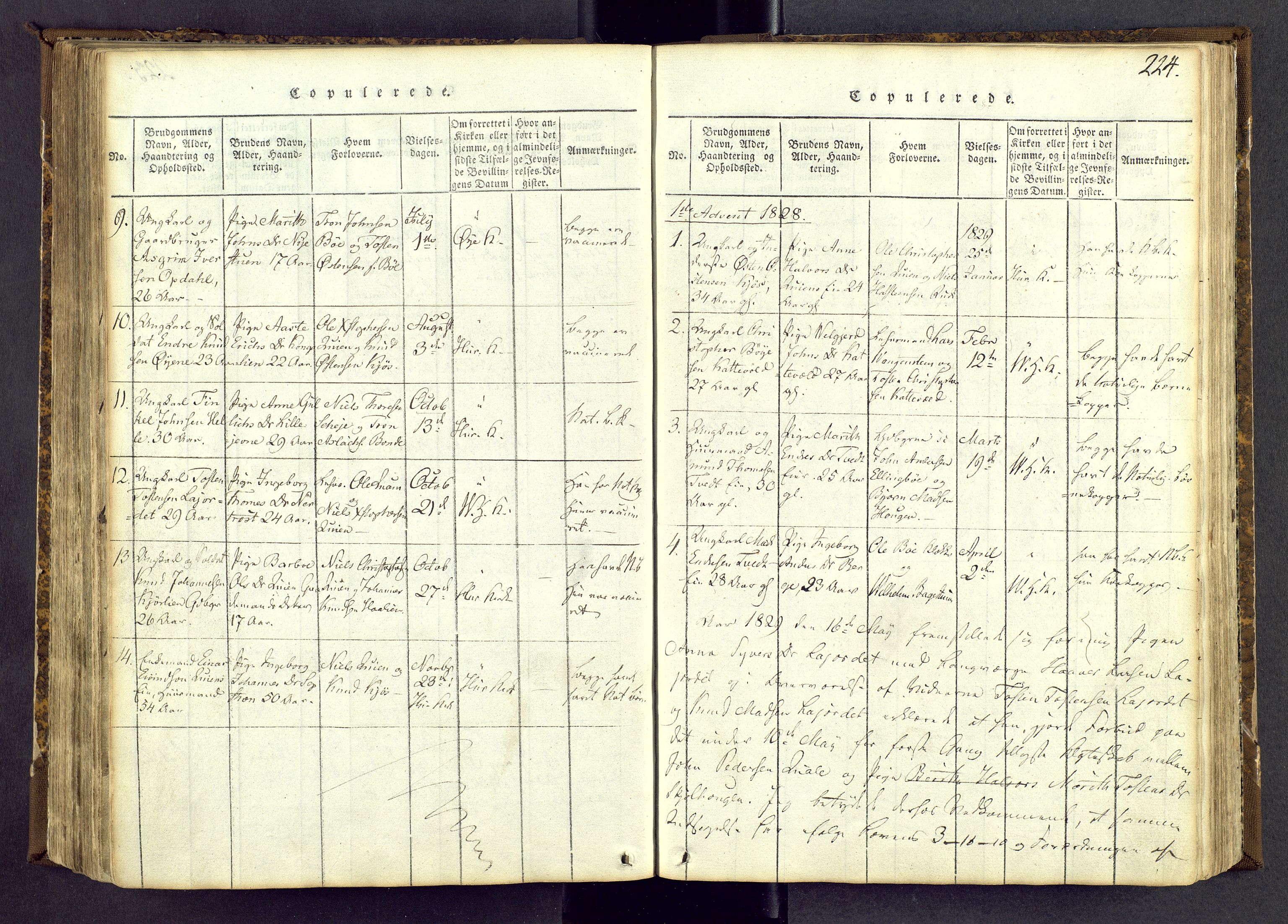 Vang prestekontor, Valdres, SAH/PREST-140/H/Ha/L0004: Ministerialbok nr. 4, 1814-1831, s. 224