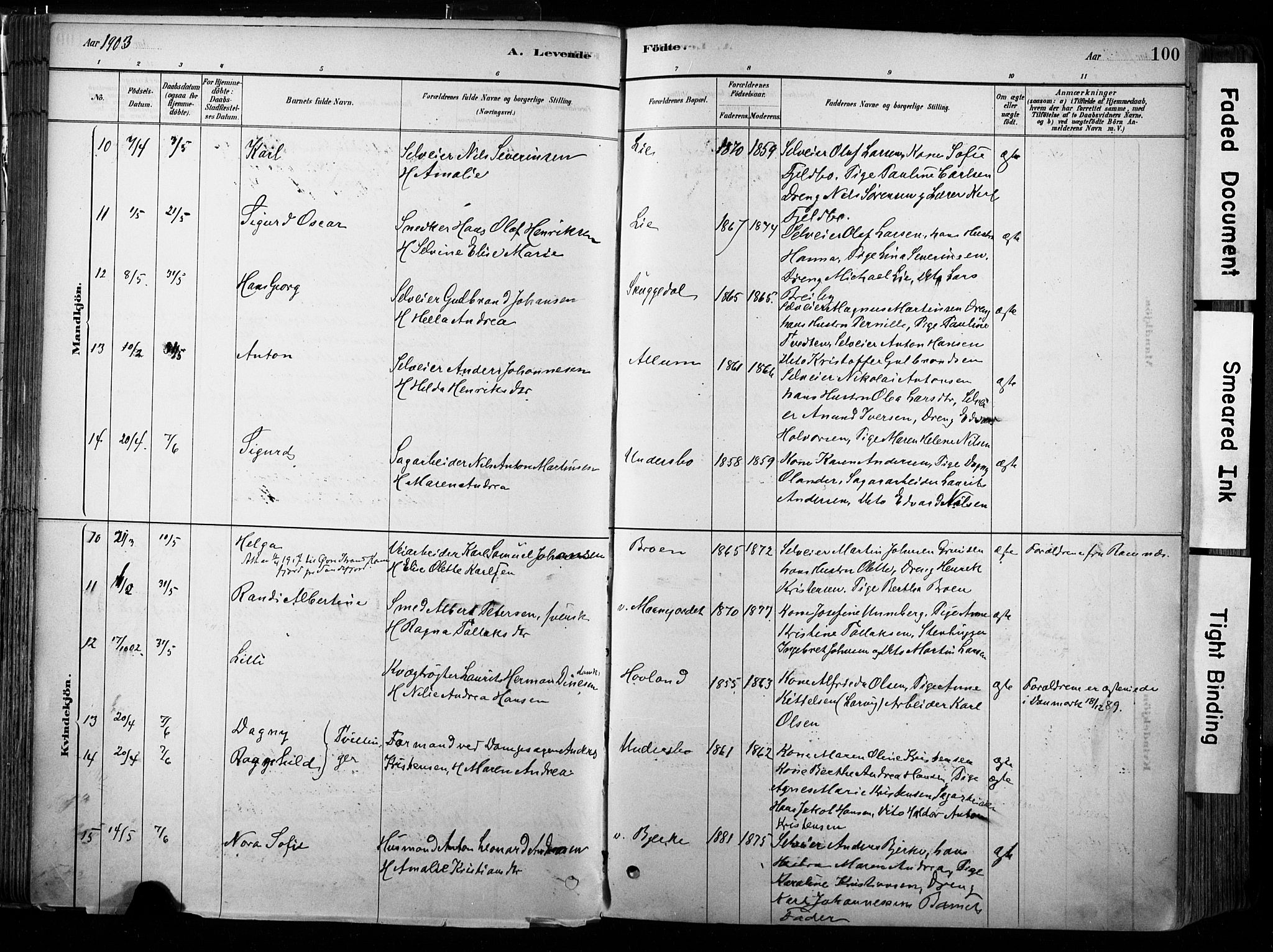 Hedrum kirkebøker, AV/SAKO-A-344/F/Fa/L0009: Ministerialbok nr. I 9, 1881-1903, s. 100