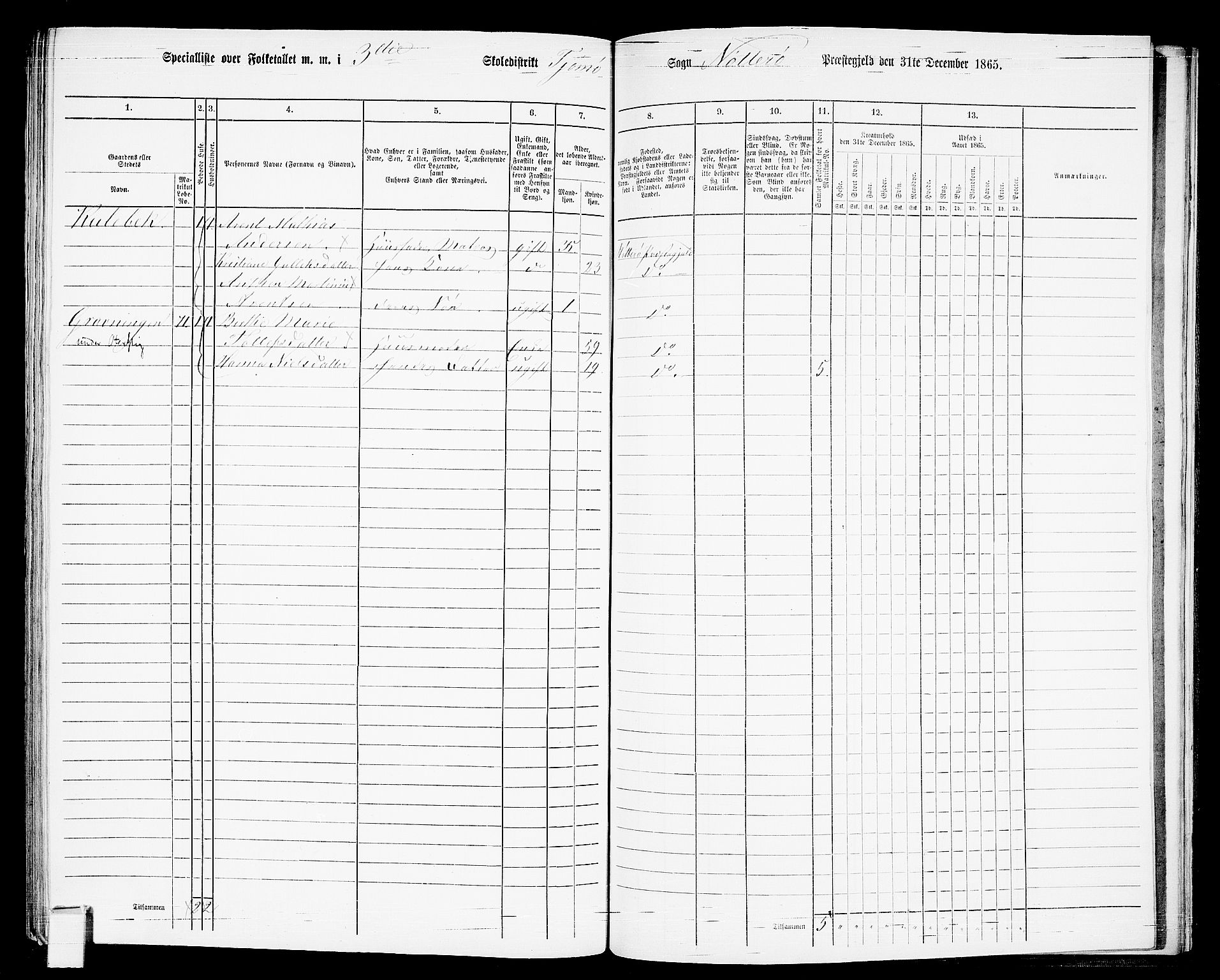 RA, Folketelling 1865 for 0722P Nøtterøy prestegjeld, 1865, s. 286