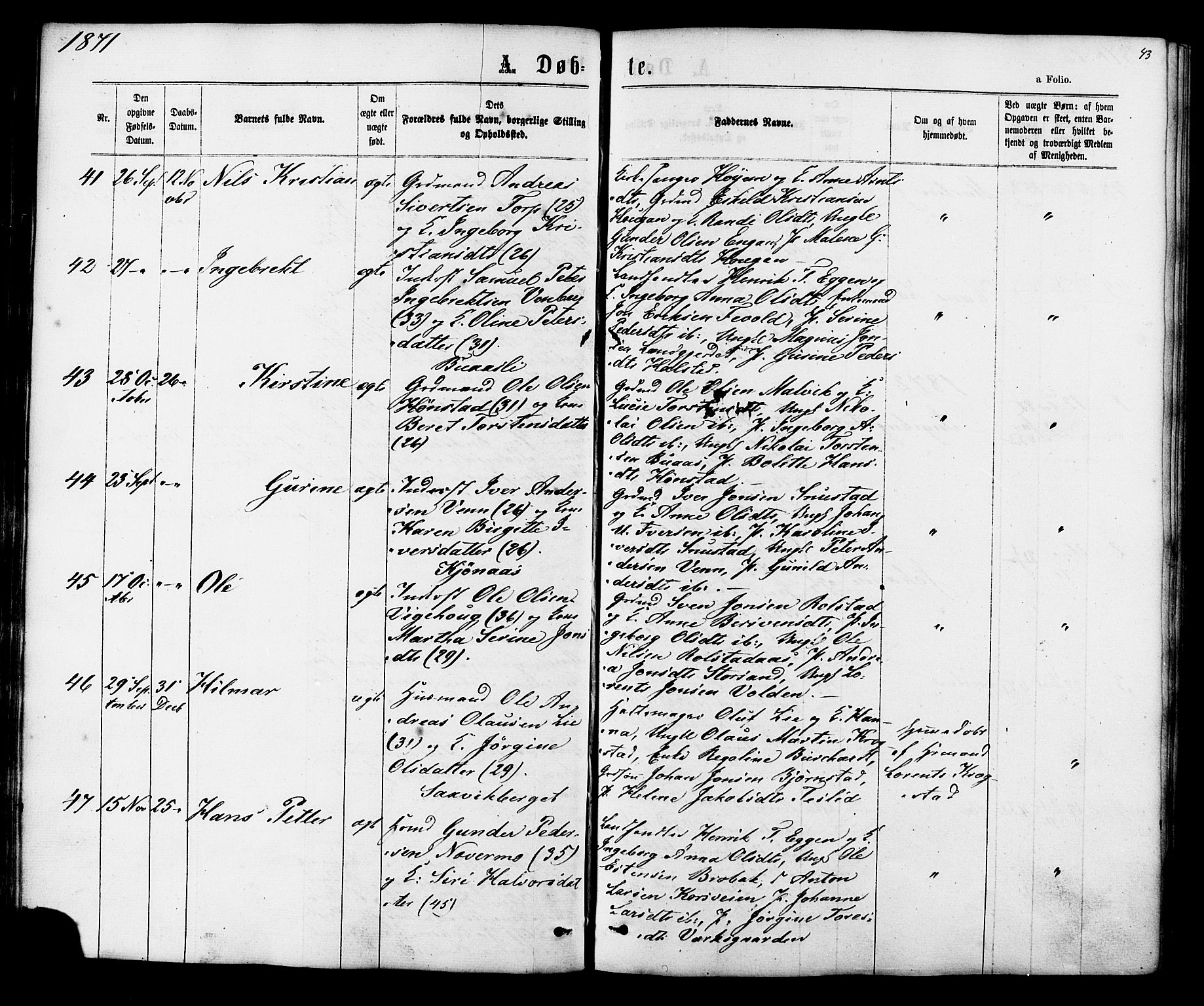 Ministerialprotokoller, klokkerbøker og fødselsregistre - Sør-Trøndelag, SAT/A-1456/616/L0409: Ministerialbok nr. 616A06, 1865-1877, s. 43