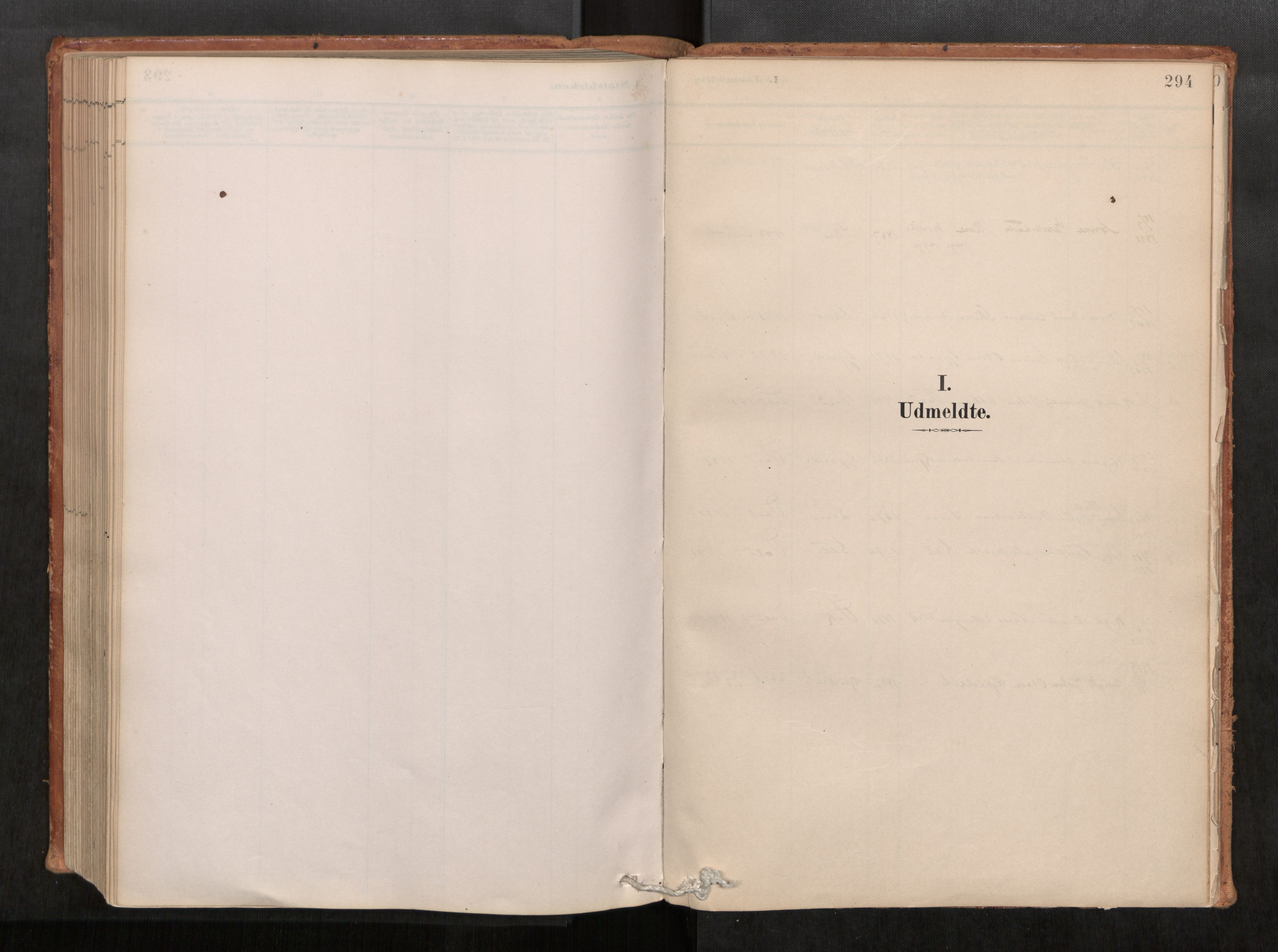 Ministerialprotokoller, klokkerbøker og fødselsregistre - Møre og Romsdal, AV/SAT-A-1454/543/L0568: Ministerialbok nr. 543A03, 1885-1915, s. 294