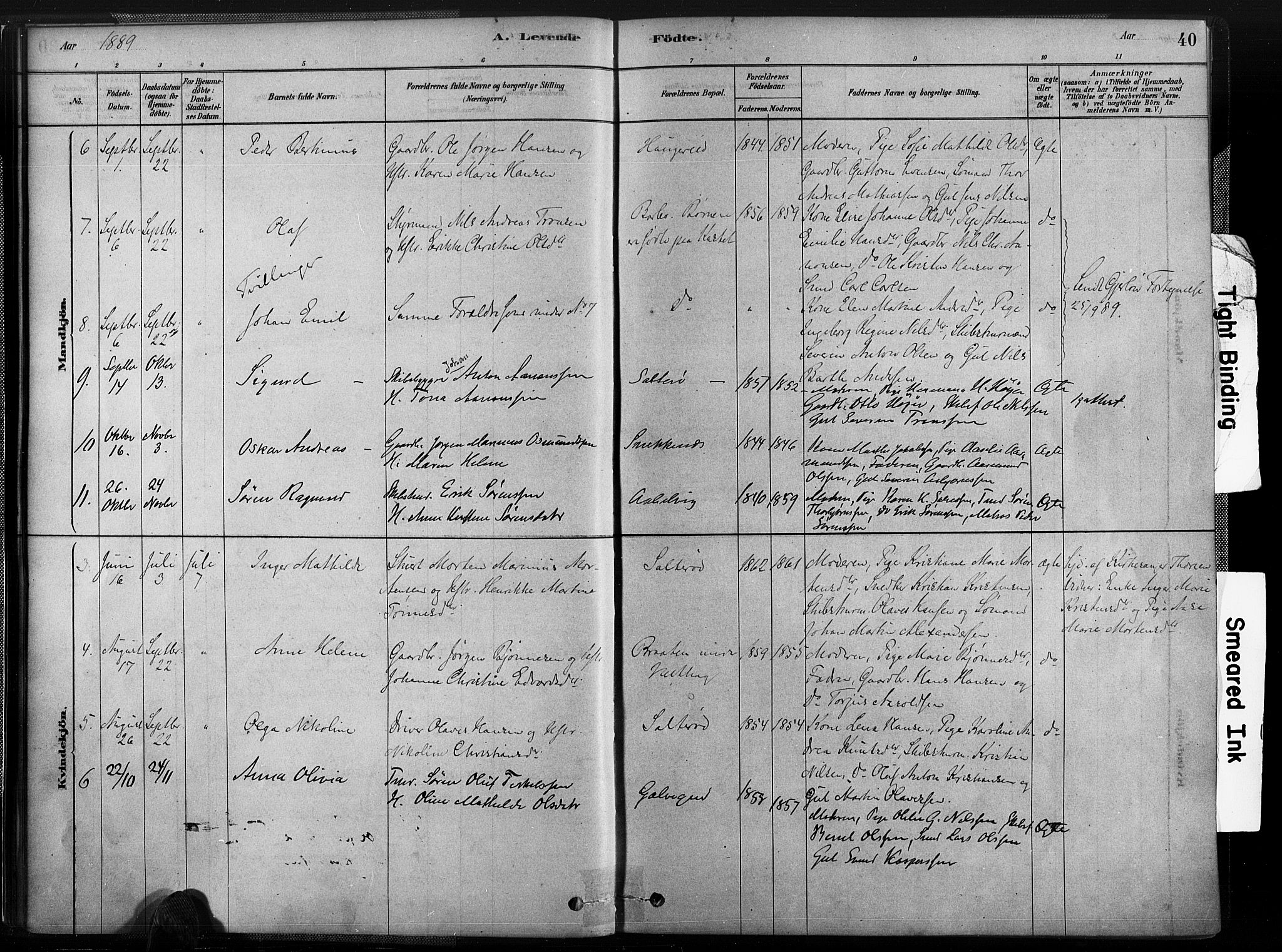Austre Moland sokneprestkontor, AV/SAK-1111-0001/F/Fa/Fab/L0001: Ministerialbok nr. A 1, 1878-1898, s. 40