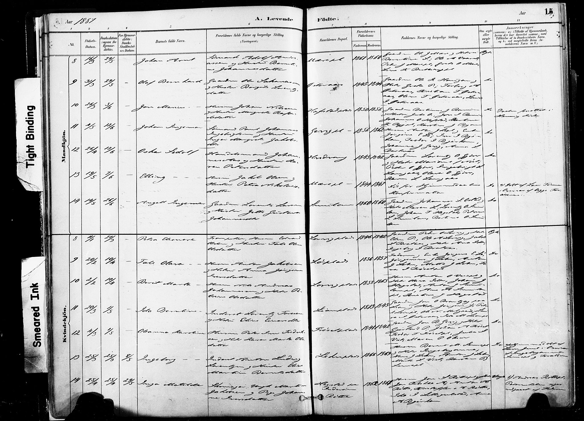 Ministerialprotokoller, klokkerbøker og fødselsregistre - Nord-Trøndelag, SAT/A-1458/735/L0351: Ministerialbok nr. 735A10, 1884-1908, s. 15