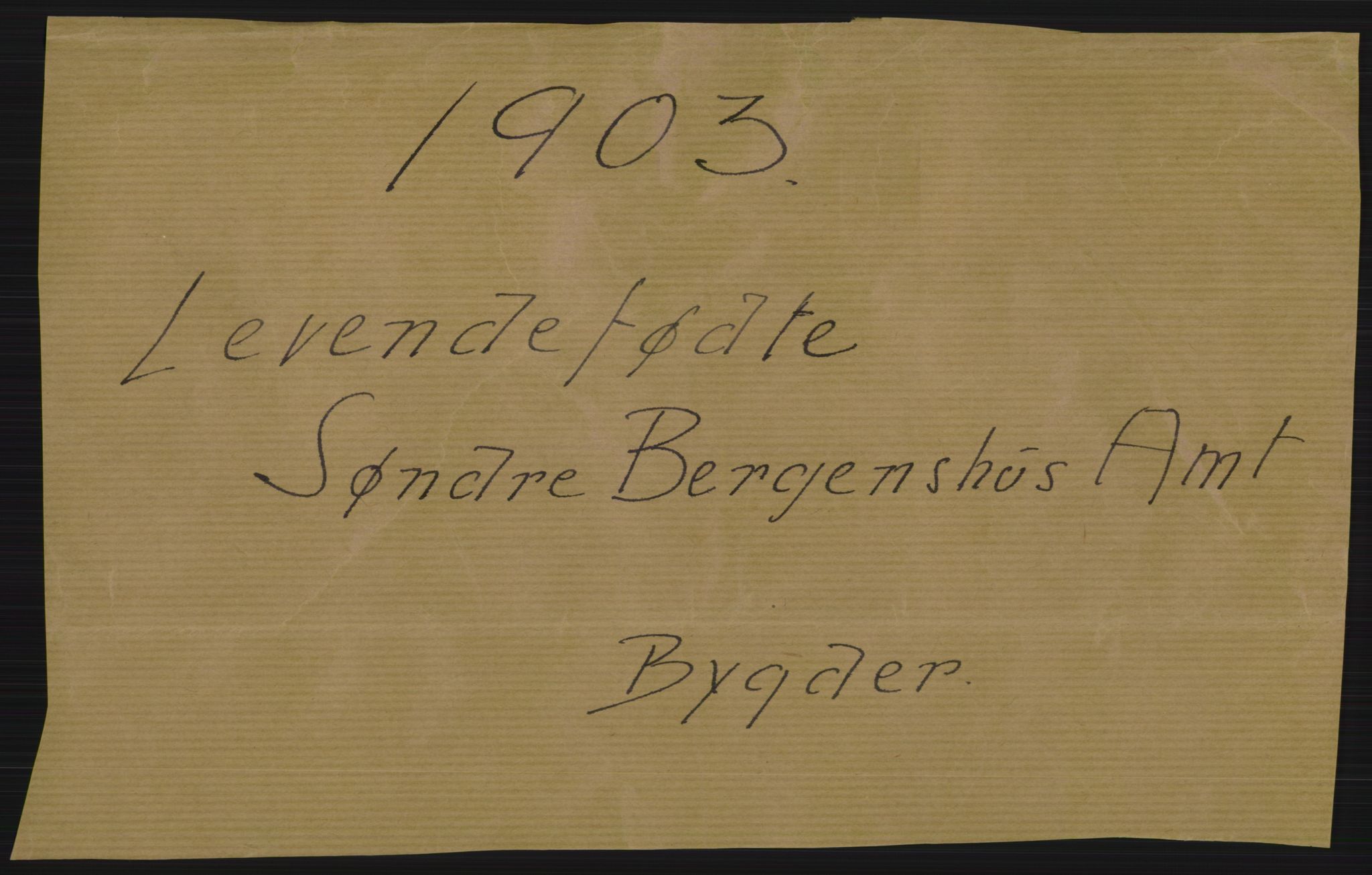 Statistisk sentralbyrå, Sosiodemografiske emner, Befolkning, AV/RA-S-2228/D/Df/Dfa/Dfaa/L0013: Søndre Bergenhus amt: Fødte, gifte, døde, 1903, s. 1