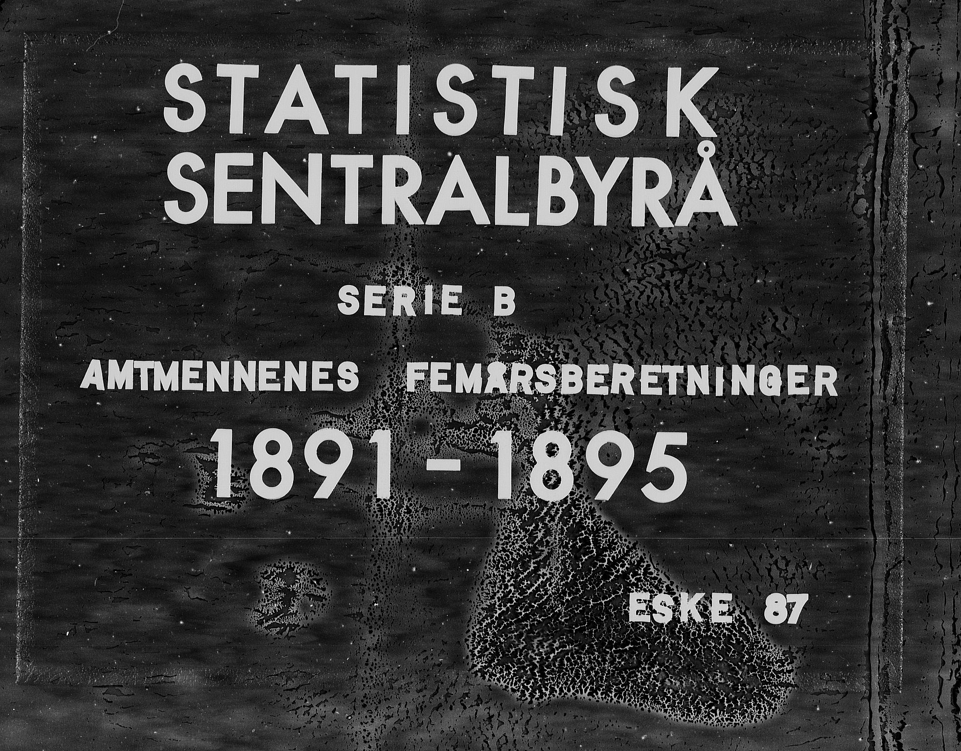 Statistisk sentralbyrå, Næringsøkonomiske emner, Generelt - Amtmennenes femårsberetninger, RA/S-2233/F/Fa/L0087: --, 1891-1895, s. 1
