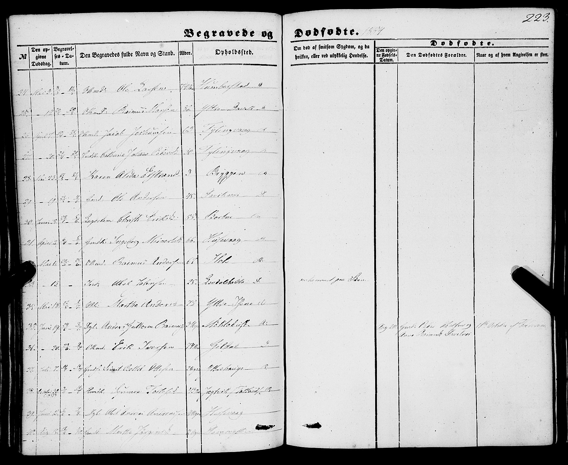 Davik sokneprestembete, SAB/A-79701/H/Haa/Haaa/L0005: Ministerialbok nr. A 5, 1850-1866, s. 223