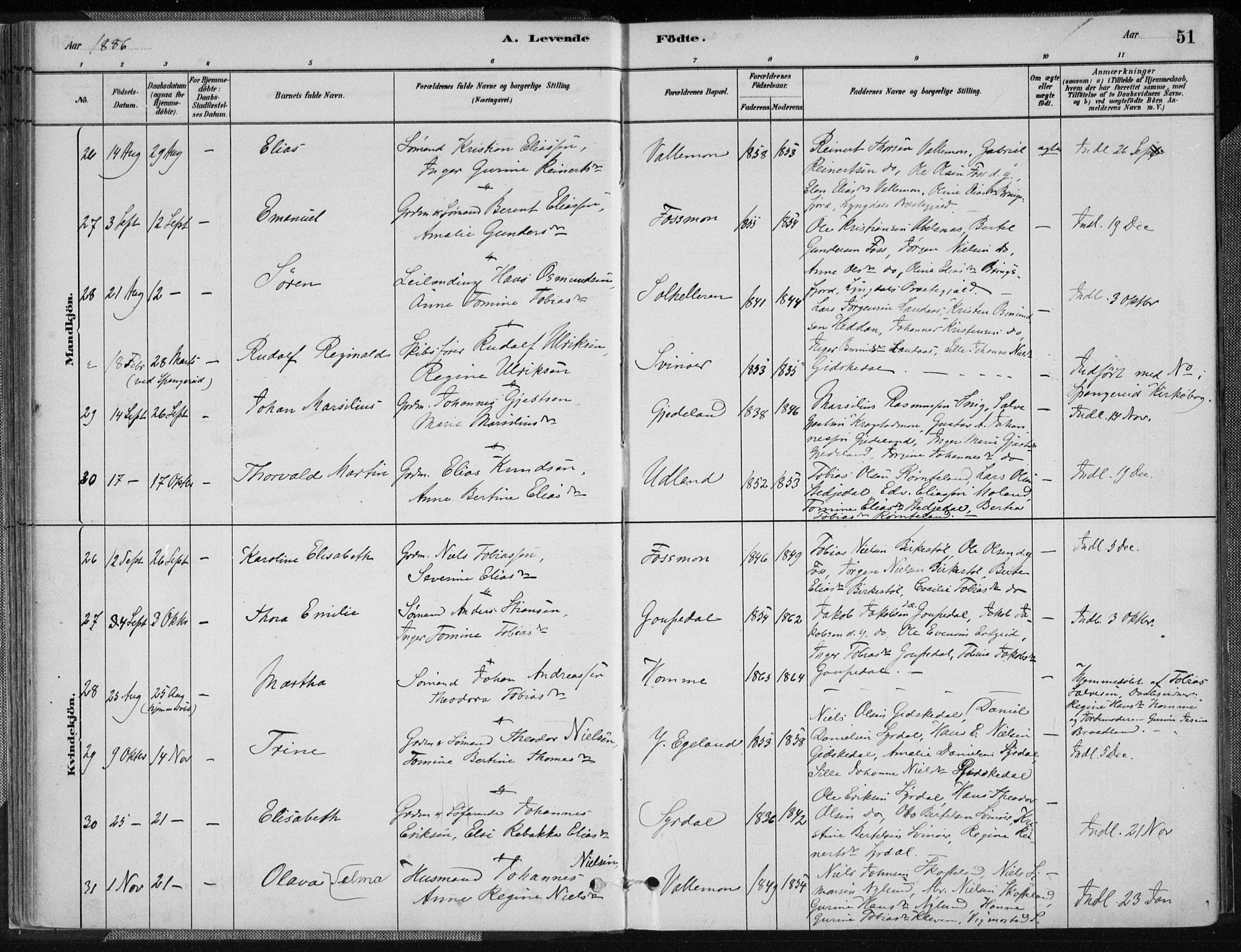 Sør-Audnedal sokneprestkontor, AV/SAK-1111-0039/F/Fa/Fab/L0009: Ministerialbok nr. A 9, 1880-1895, s. 51