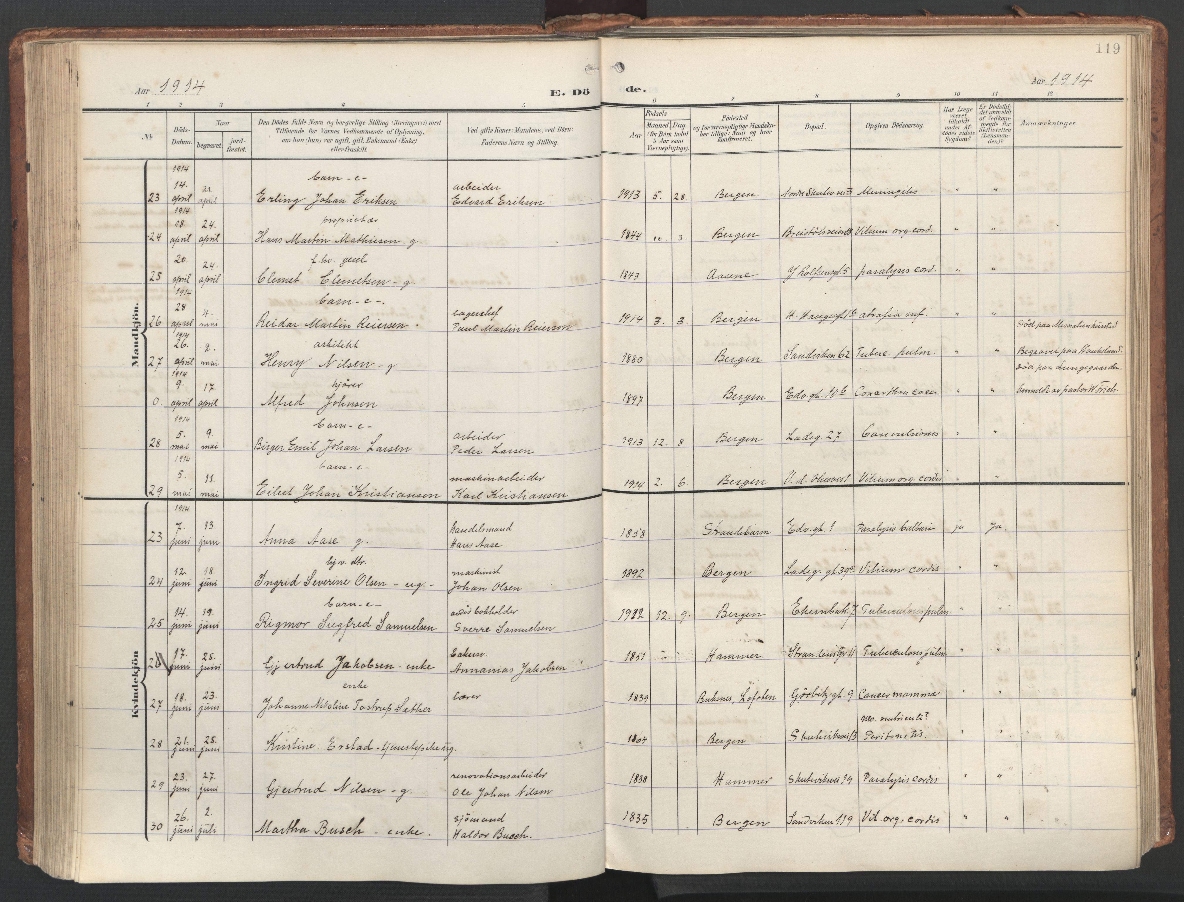 Sandviken Sokneprestembete, AV/SAB-A-77601/H/Ha/L0019: Ministerialbok nr. E 2, 1905-1933, s. 119