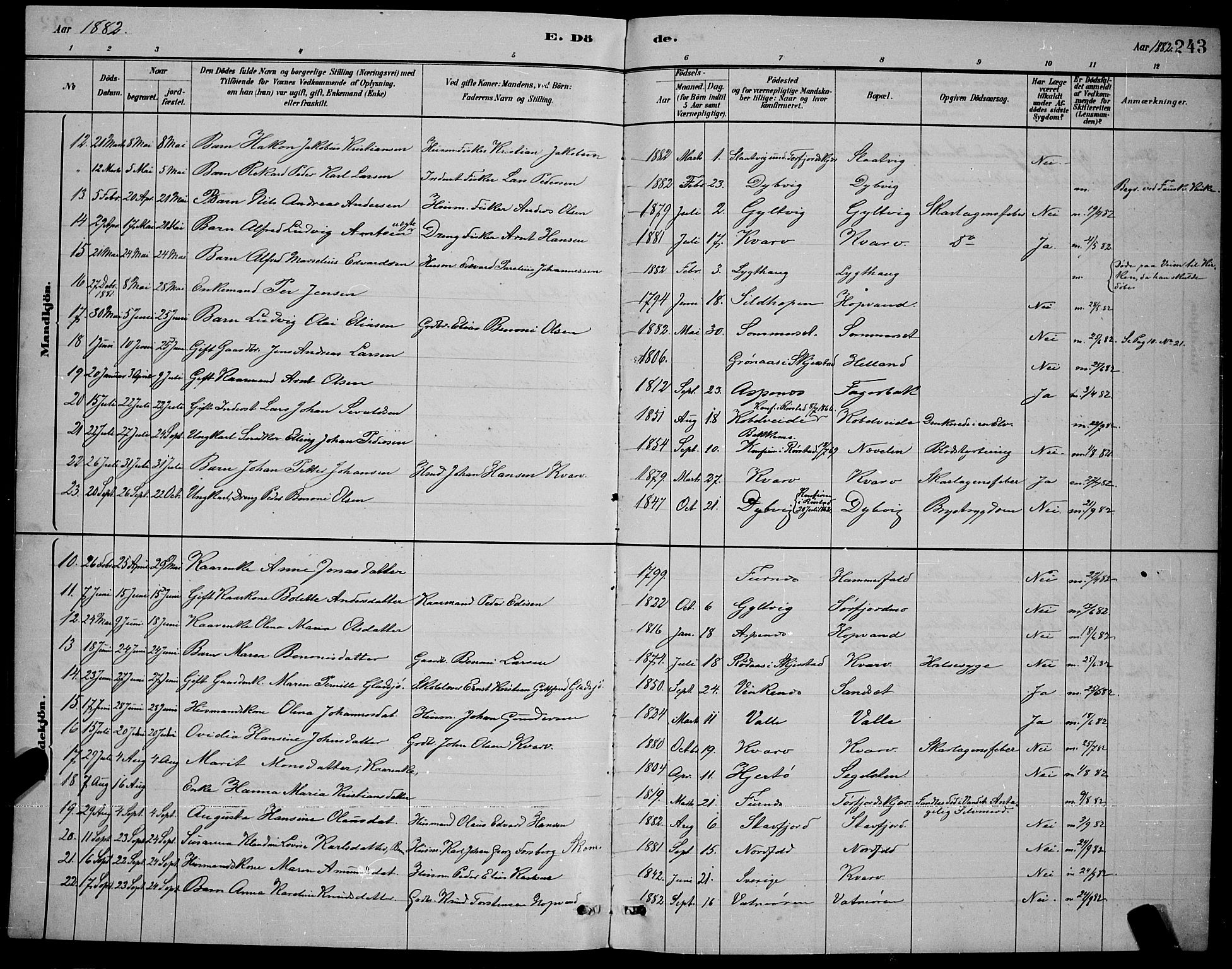 Ministerialprotokoller, klokkerbøker og fødselsregistre - Nordland, AV/SAT-A-1459/853/L0772: Ministerialbok nr. 853A11, 1881-1900, s. 243