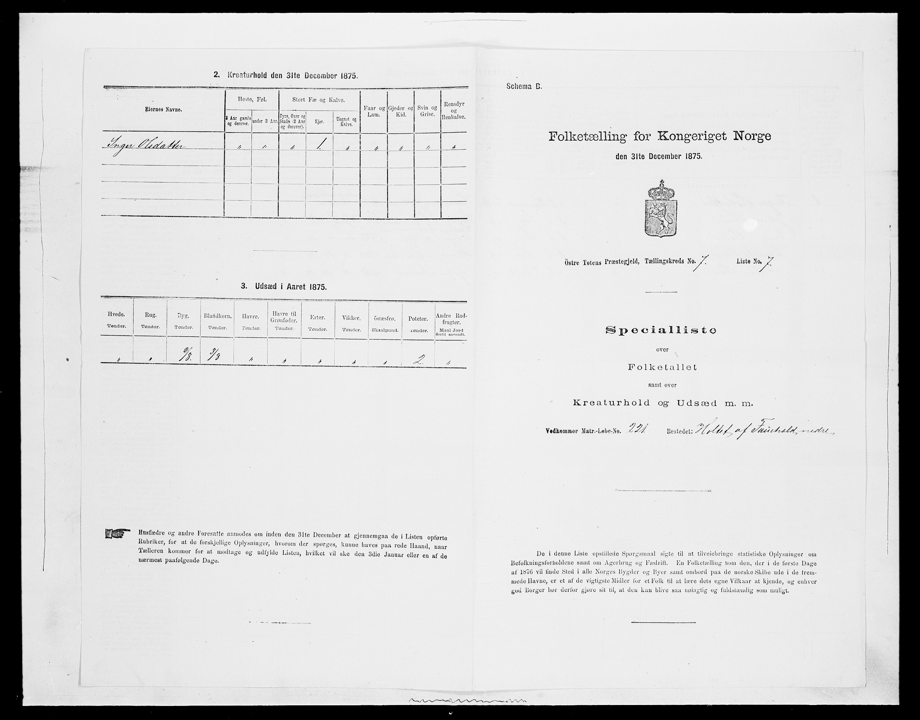 SAH, Folketelling 1875 for 0528P Østre Toten prestegjeld, 1875, s. 1307