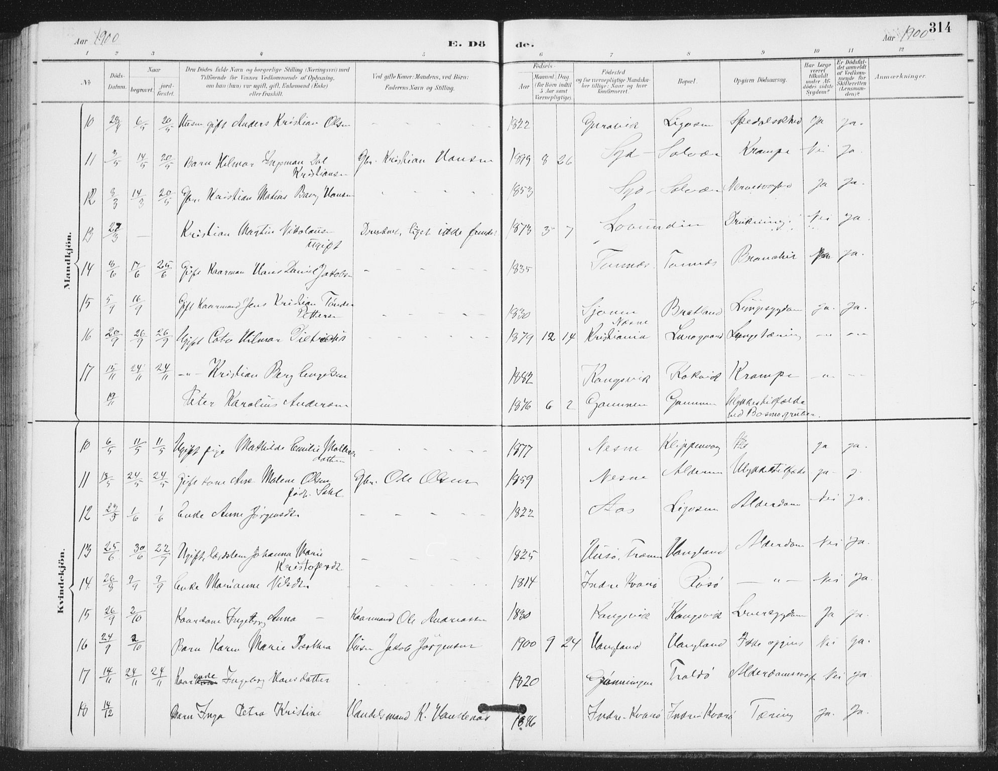 Ministerialprotokoller, klokkerbøker og fødselsregistre - Nordland, AV/SAT-A-1459/839/L0573: Klokkerbok nr. 839C03, 1892-1917, s. 314