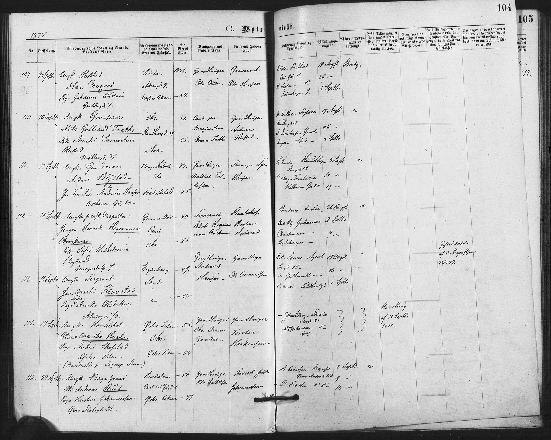 Trefoldighet prestekontor Kirkebøker, AV/SAO-A-10882/F/Fc/L0002: Ministerialbok nr. III 2, 1874-1881, s. 104