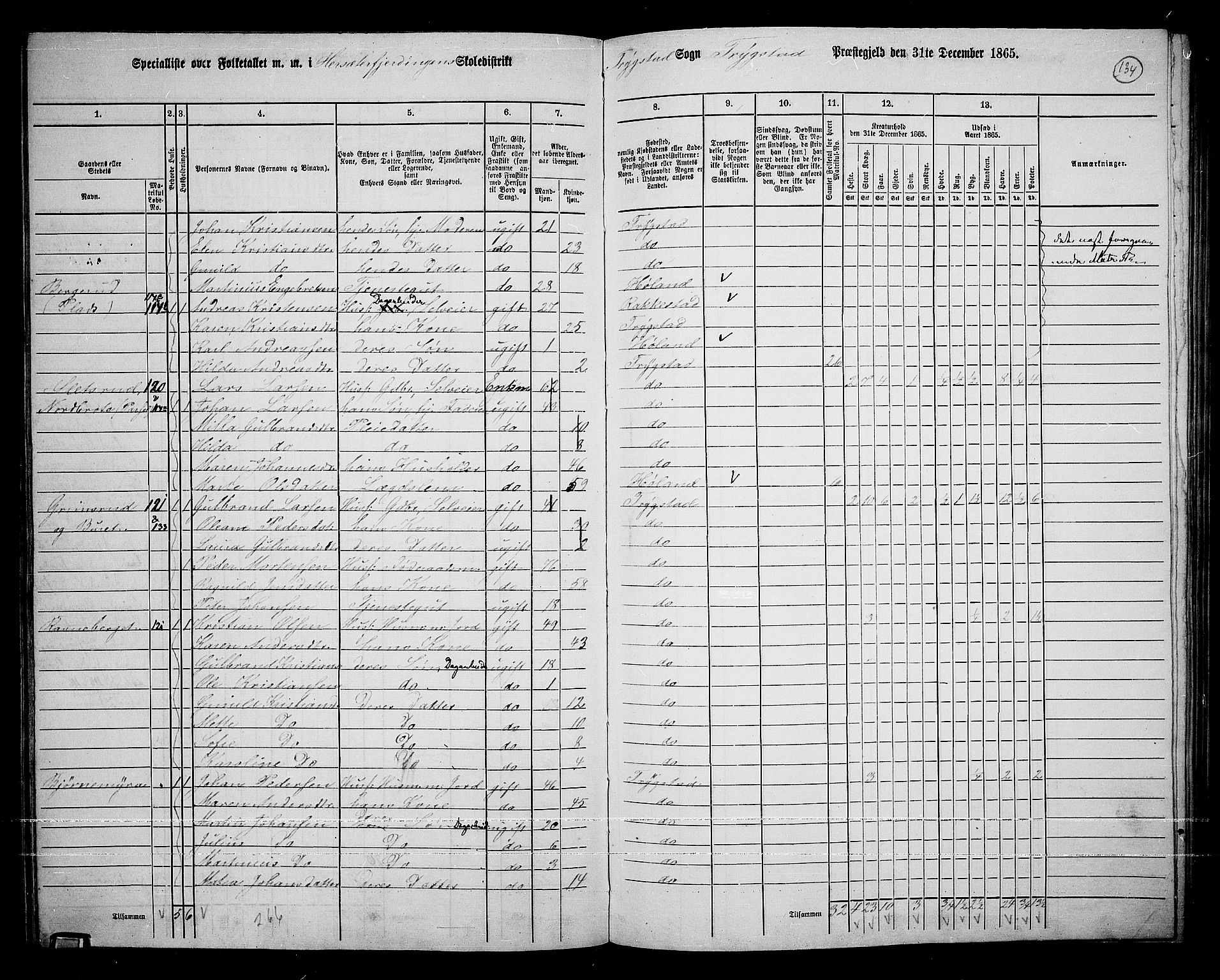 RA, Folketelling 1865 for 0122P Trøgstad prestegjeld, 1865, s. 118