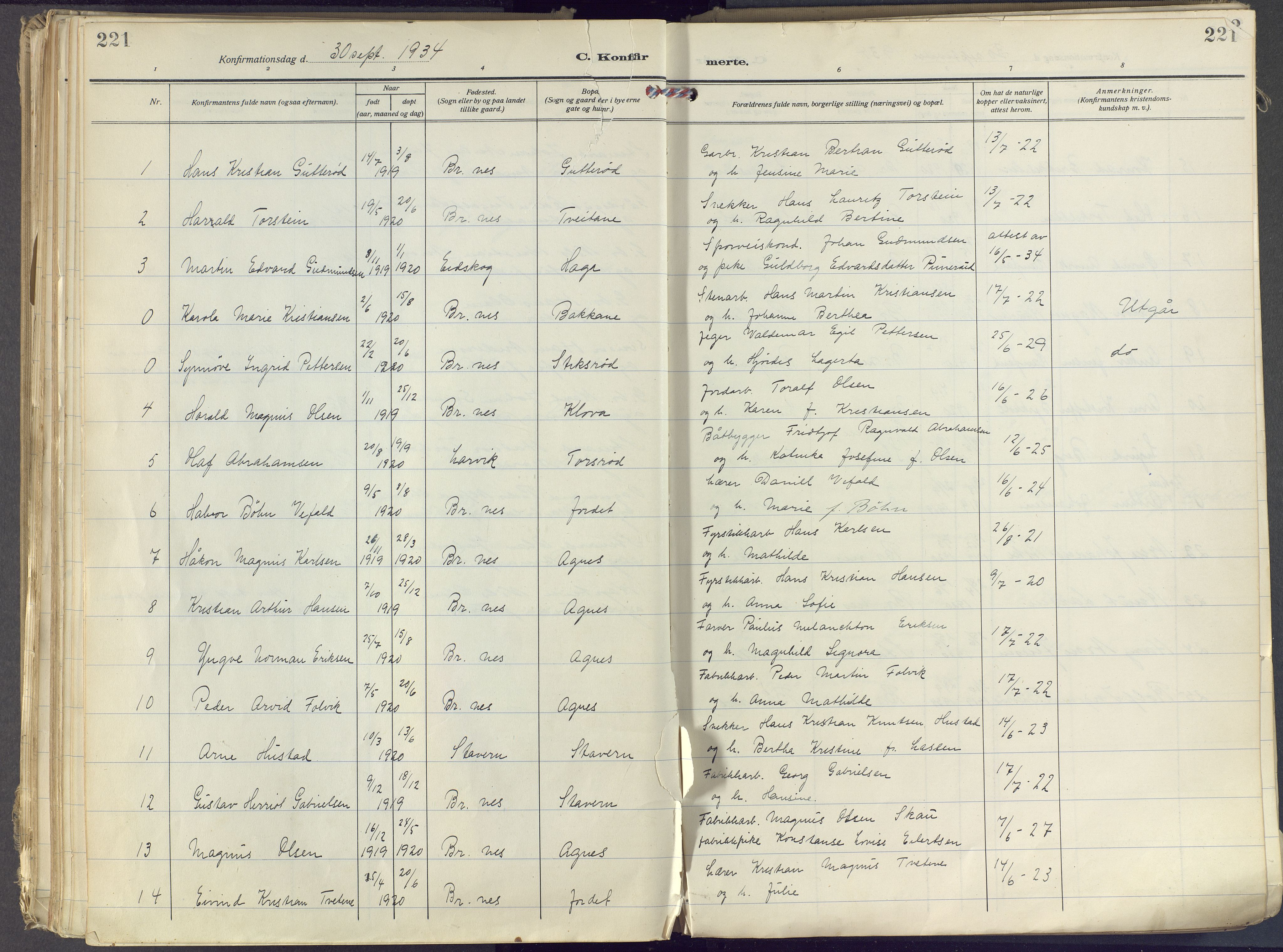 Brunlanes kirkebøker, SAKO/A-342/F/Fc/L0004: Ministerialbok nr. III 4, 1923-1943, s. 221