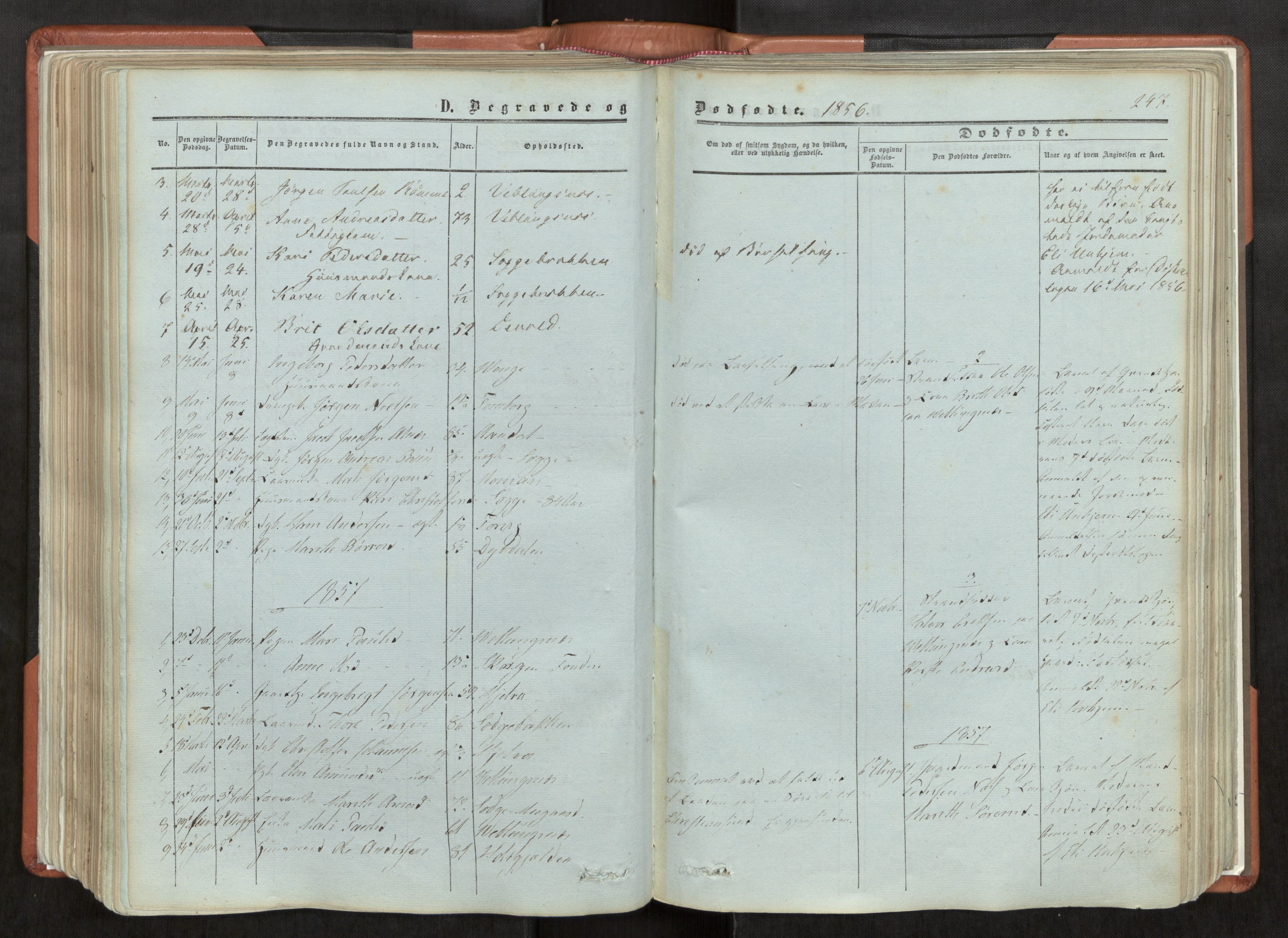Ministerialprotokoller, klokkerbøker og fødselsregistre - Møre og Romsdal, AV/SAT-A-1454/544/L0572: Ministerialbok nr. 544A05, 1854-1886, s. 247
