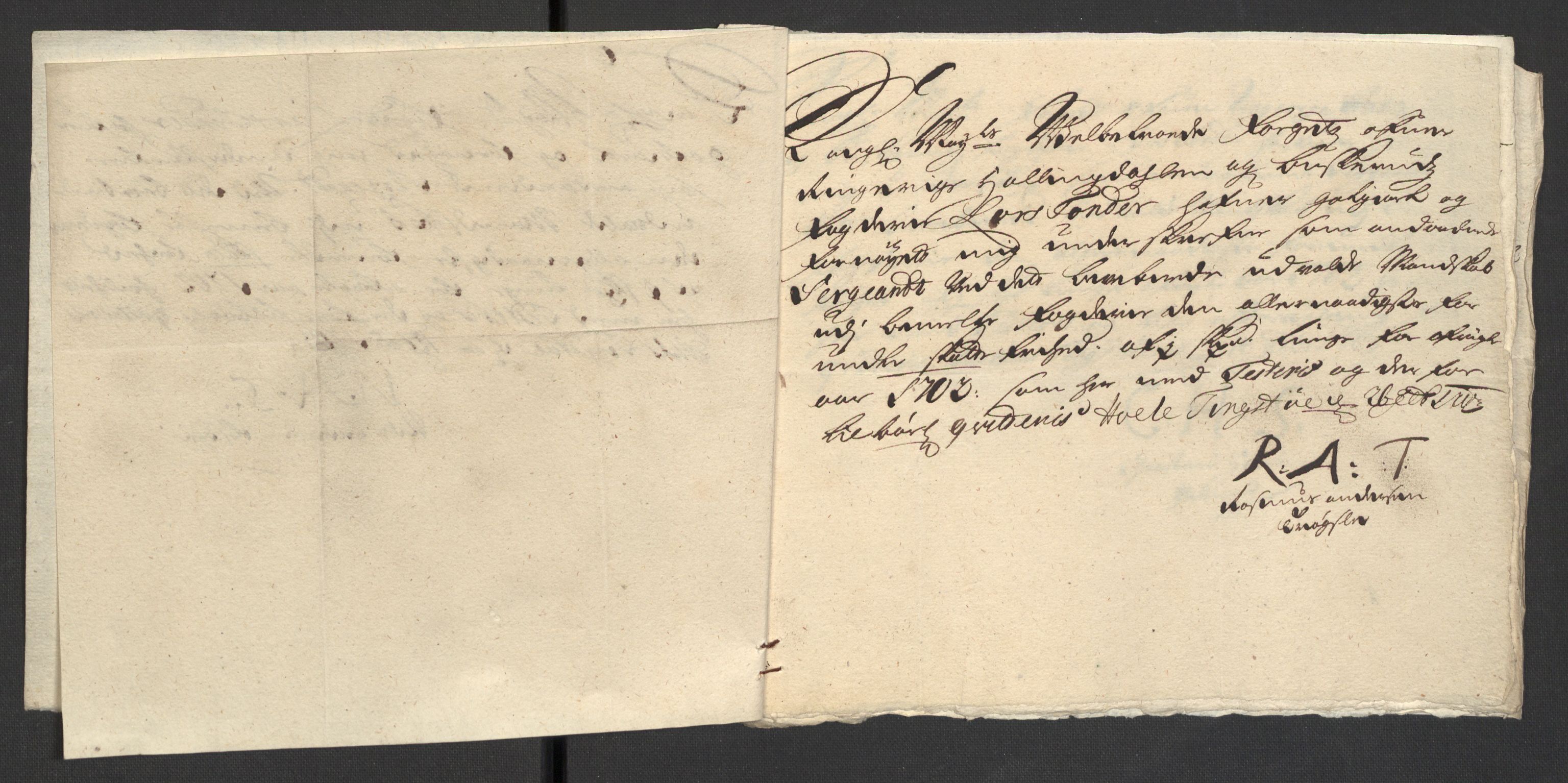 Rentekammeret inntil 1814, Reviderte regnskaper, Fogderegnskap, AV/RA-EA-4092/R22/L1459: Fogderegnskap Ringerike, Hallingdal og Buskerud, 1702, s. 217