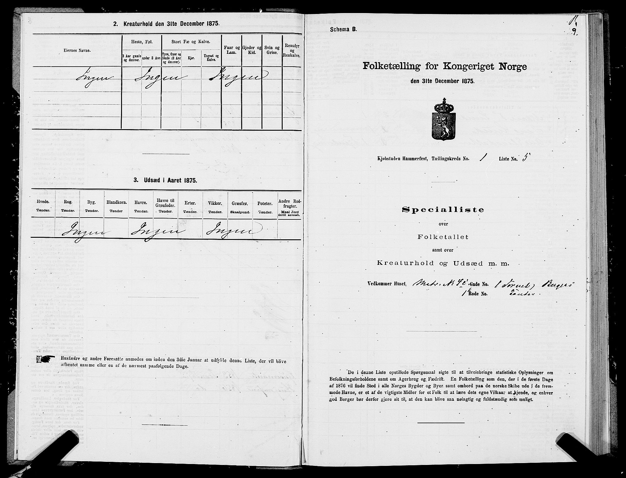 SATØ, Folketelling 1875 for 2001B Hammerfest prestegjeld, Hammerfest kjøpstad, 1875, s. 1009