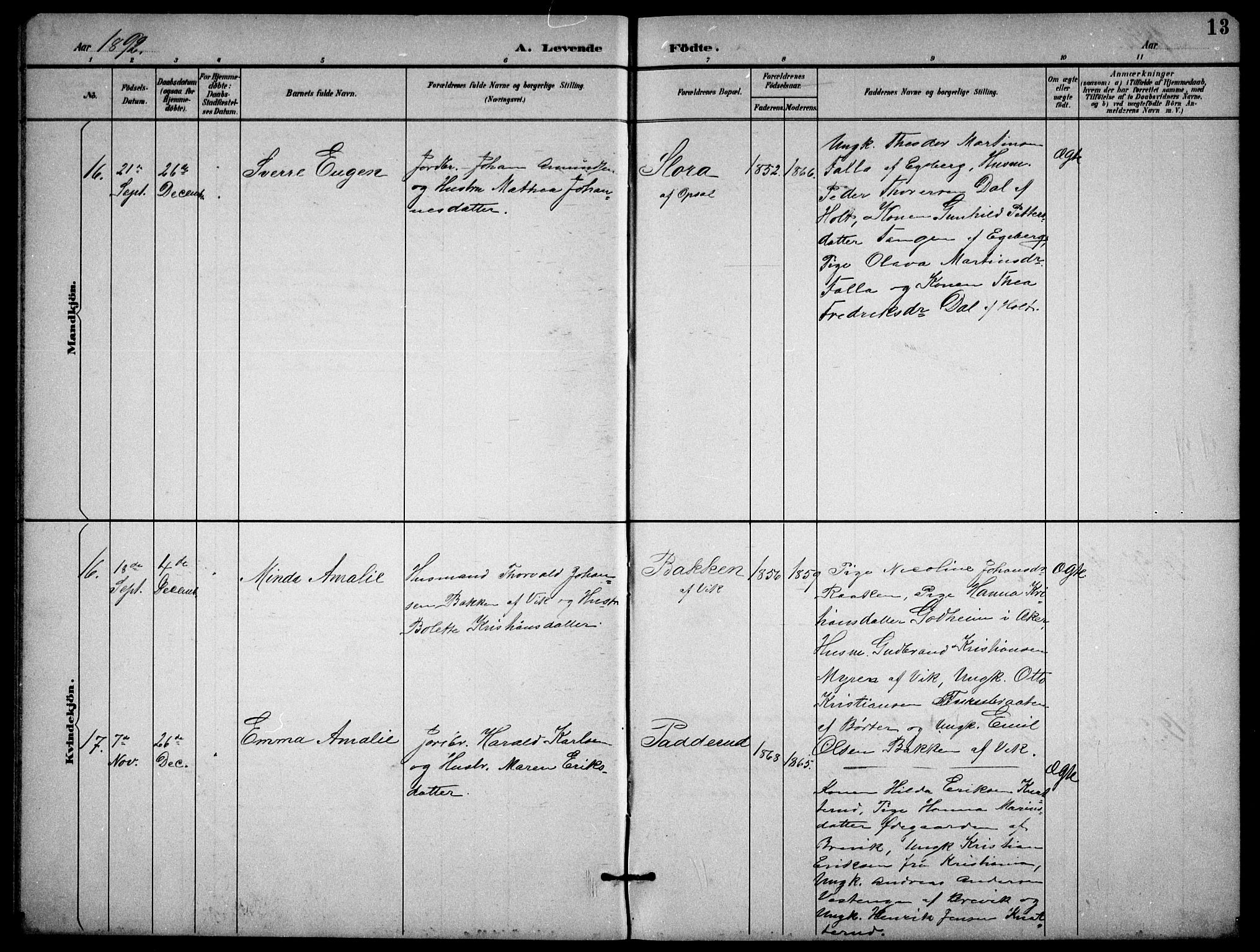Enebakk prestekontor Kirkebøker, AV/SAO-A-10171c/G/Gb/L0002: Klokkerbok nr. II 2, 1891-1903, s. 13