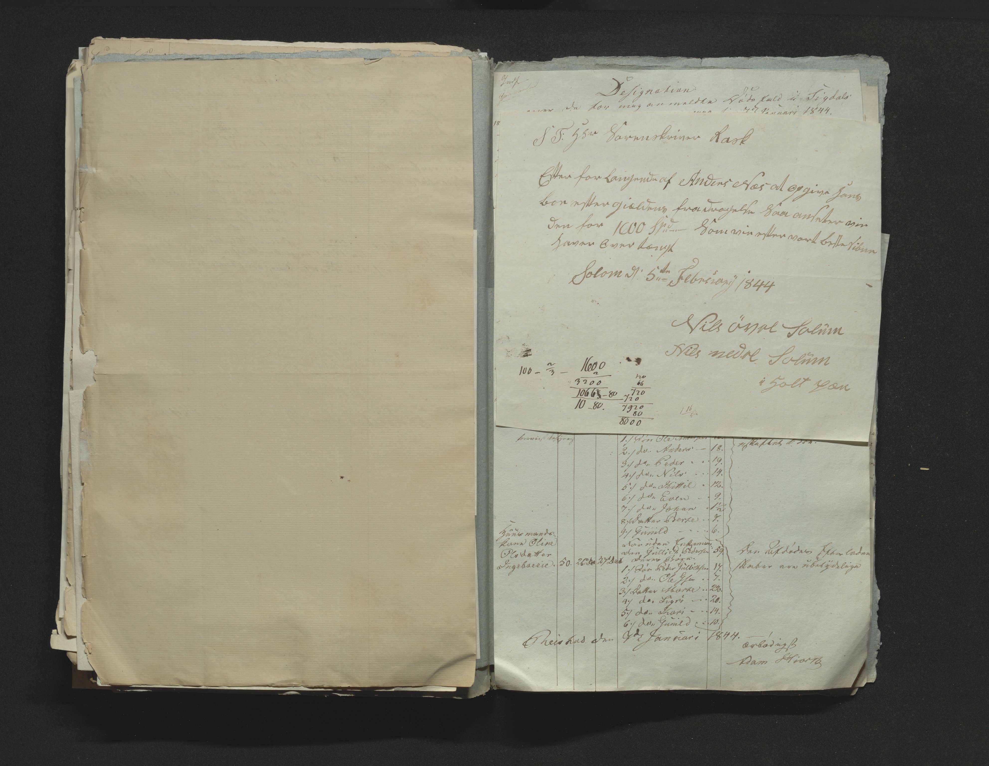Eiker, Modum og Sigdal sorenskriveri, AV/SAKO-A-123/H/Ha/Hab/L0006: Dødsfallsmeldinger, 1841-1845