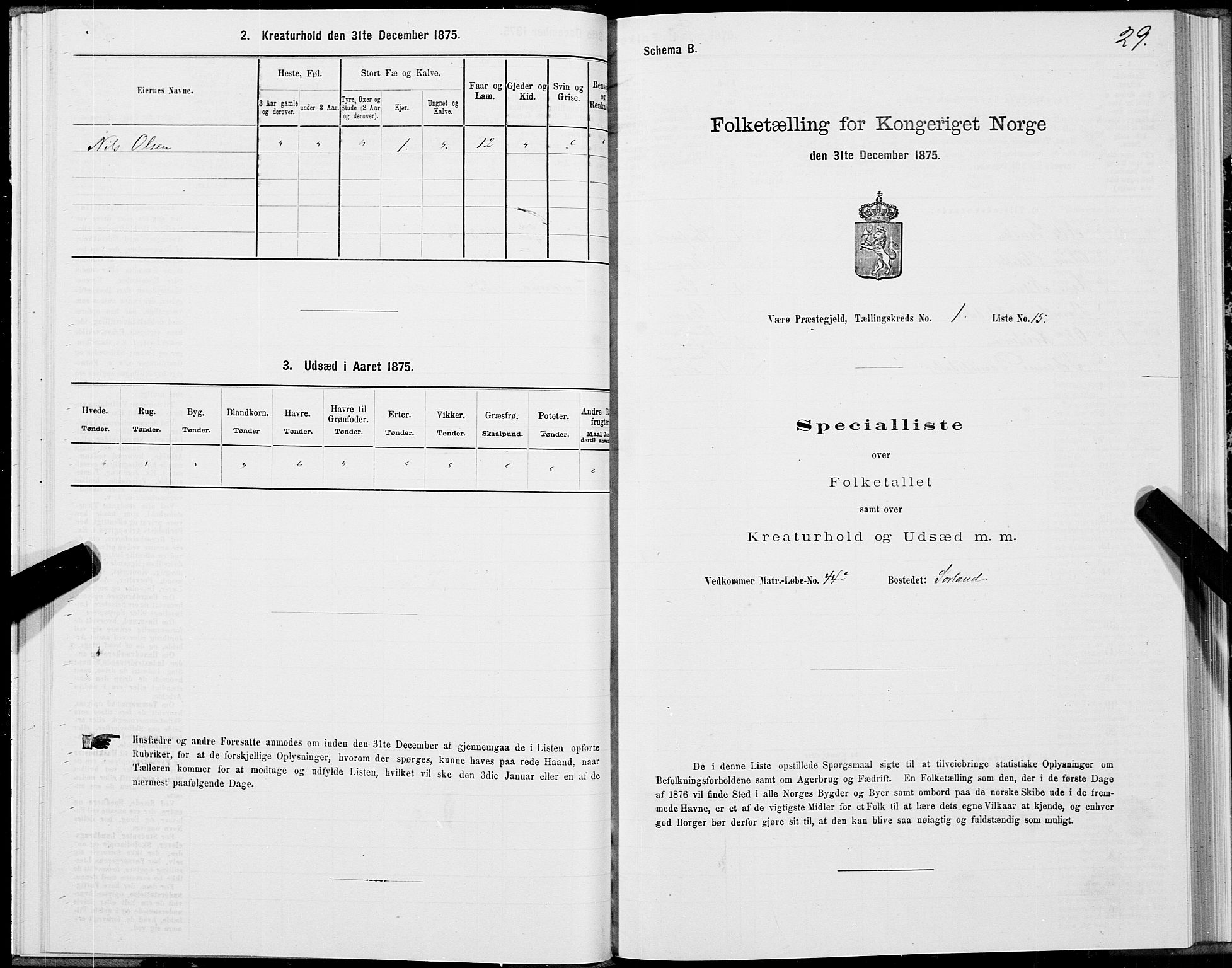 SAT, Folketelling 1875 for 1857P Værøy prestegjeld, 1875, s. 1029