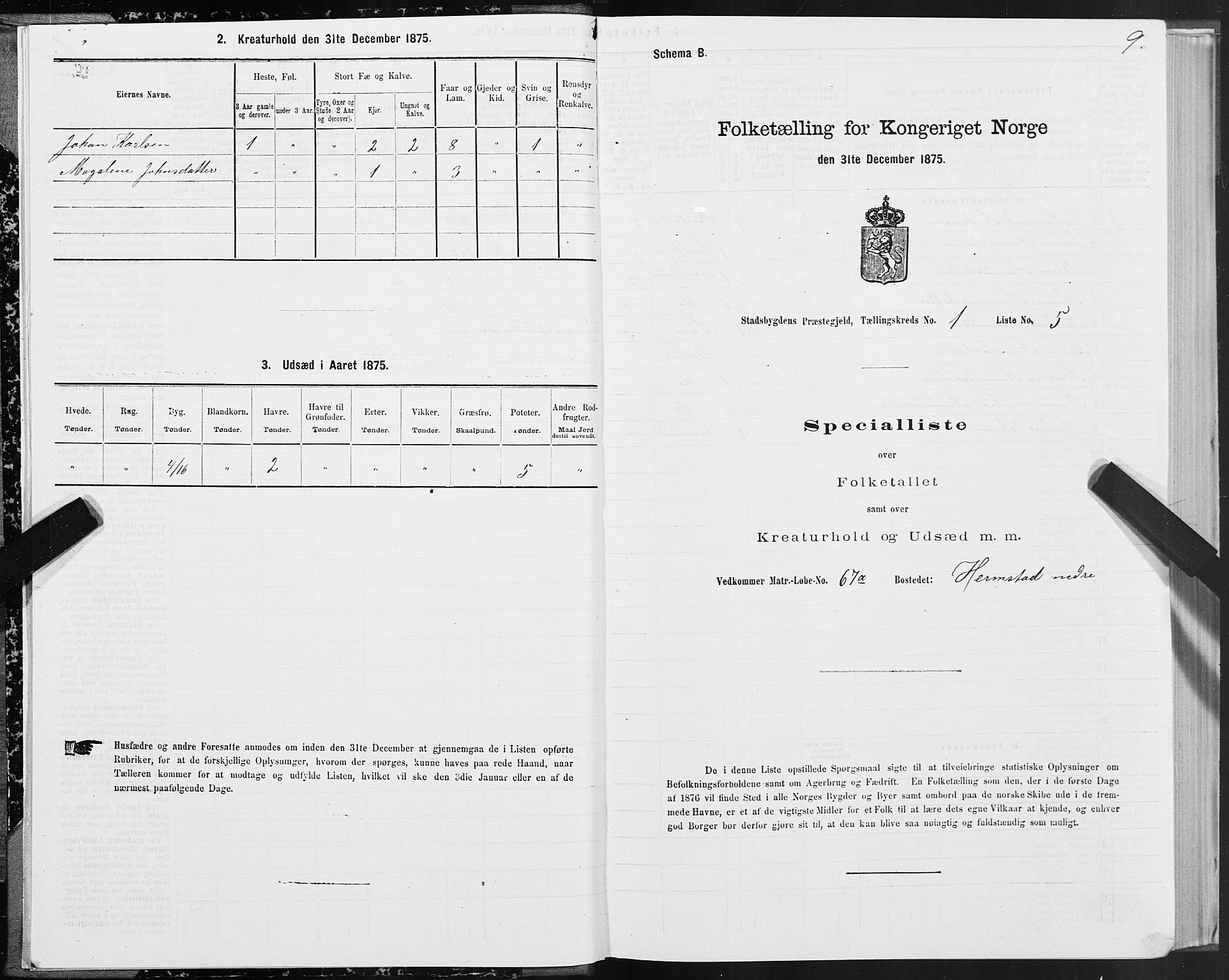 SAT, Folketelling 1875 for 1625P Stadsbygd prestegjeld, 1875, s. 1009