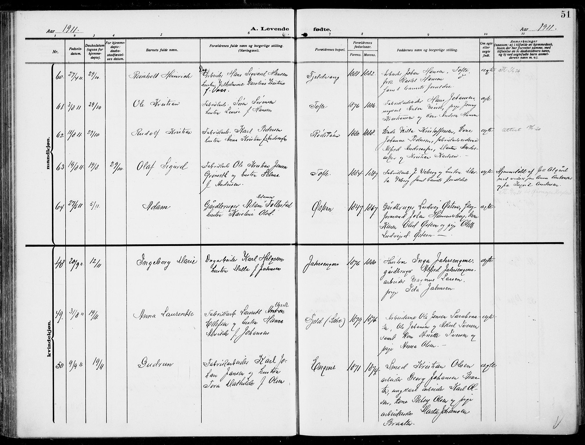 Hurum kirkebøker, AV/SAKO-A-229/F/Fa/L0016: Ministerialbok nr. 16, 1899-1918, s. 51
