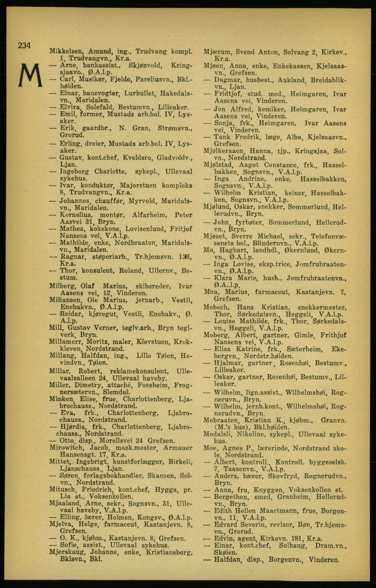 Aker adressebok/adressekalender, PUBL/001/A/003: Akers adressekalender, 1924-1925, s. 234