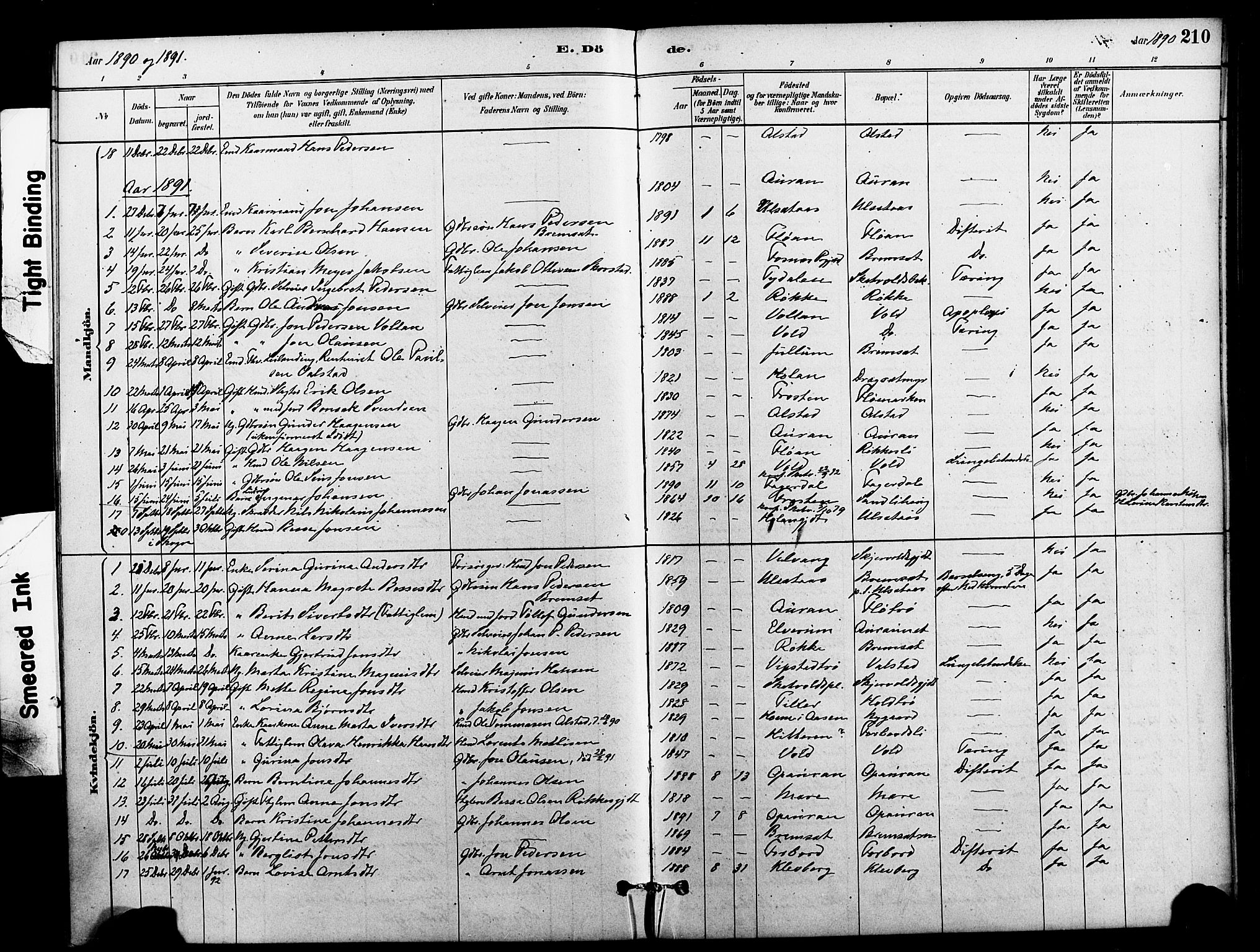 Ministerialprotokoller, klokkerbøker og fødselsregistre - Nord-Trøndelag, SAT/A-1458/712/L0100: Ministerialbok nr. 712A01, 1880-1900, s. 210