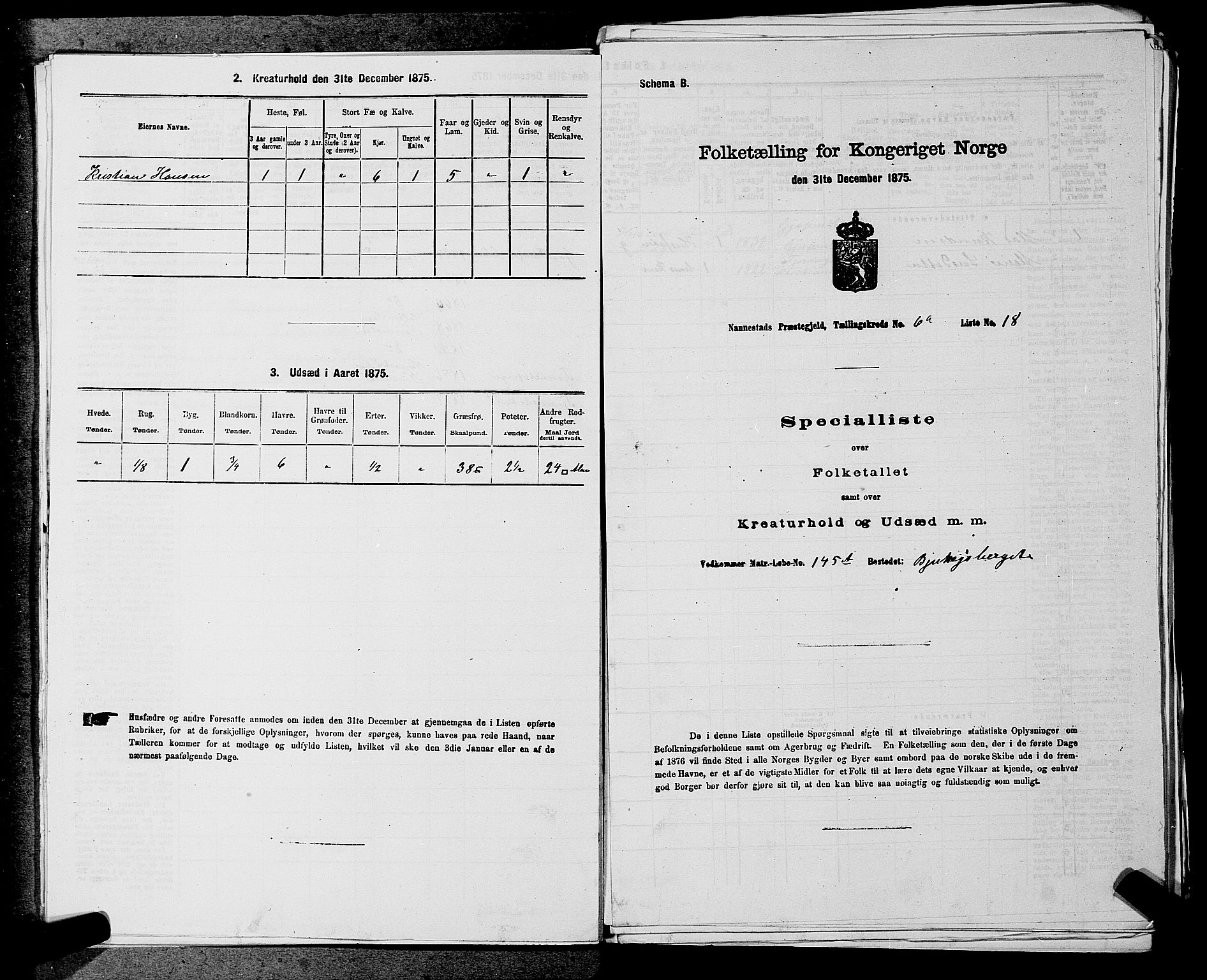 RA, Folketelling 1875 for 0238P Nannestad prestegjeld, 1875, s. 907