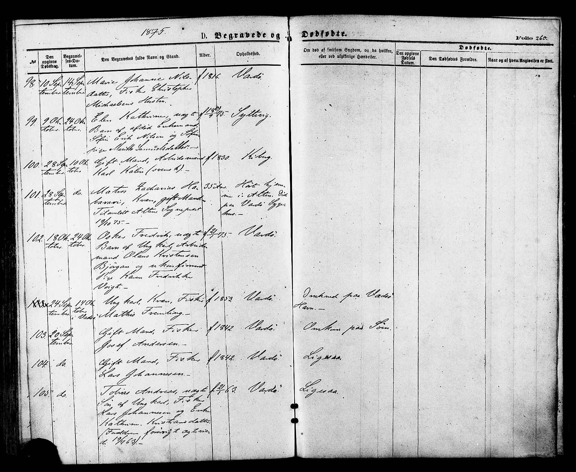 Vardø sokneprestkontor, AV/SATØ-S-1332/H/Ha/L0005kirke: Ministerialbok nr. 5, 1872-1878, s. 260