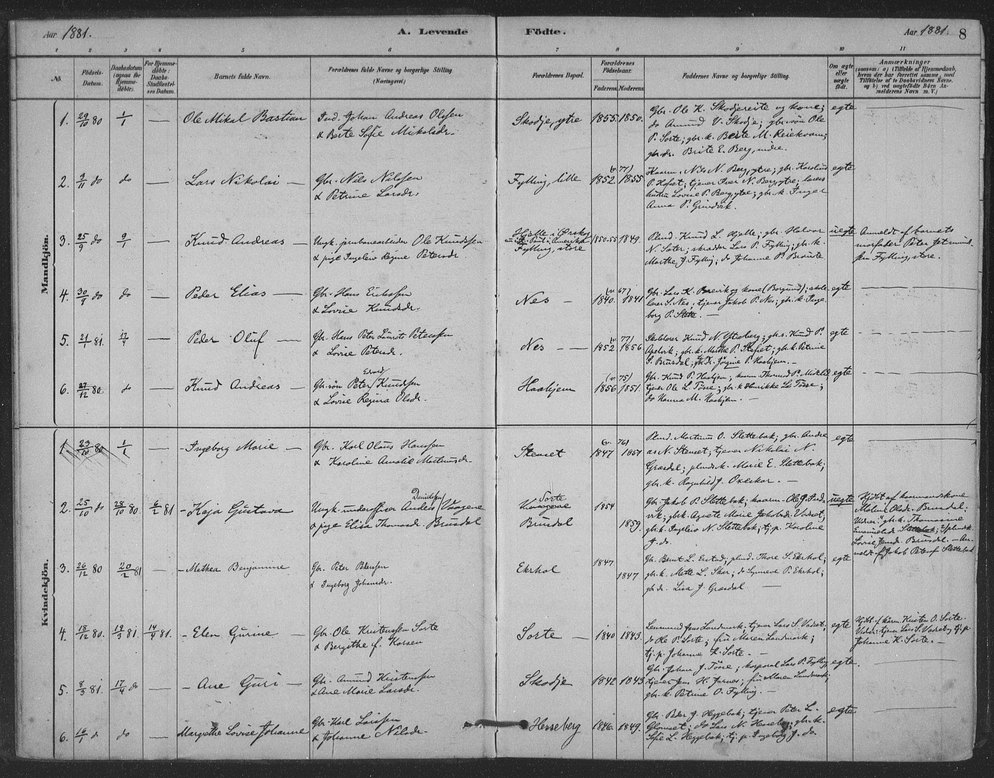 Ministerialprotokoller, klokkerbøker og fødselsregistre - Møre og Romsdal, SAT/A-1454/524/L0356: Ministerialbok nr. 524A08, 1880-1899, s. 8