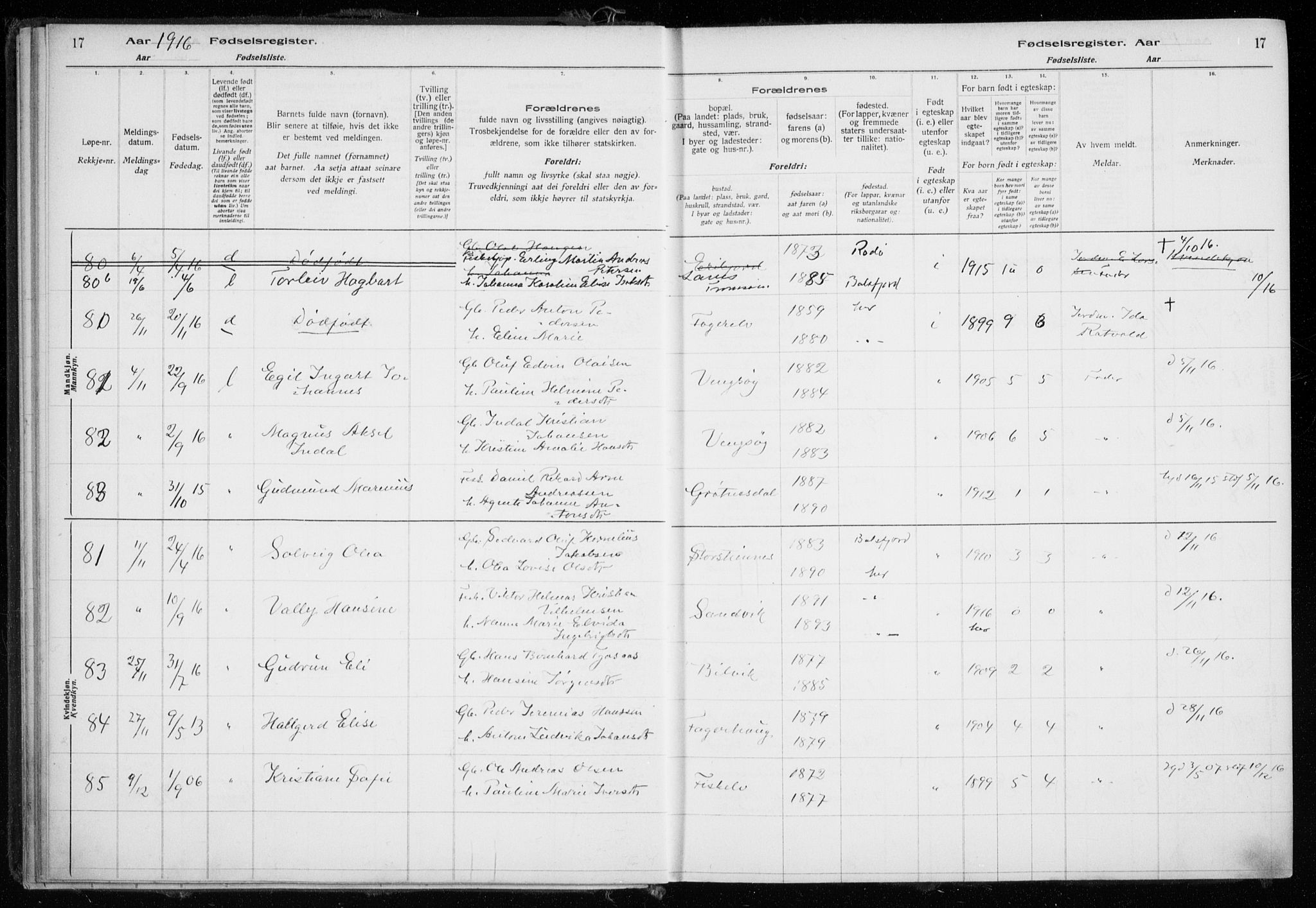 Tromsøysund sokneprestkontor, AV/SATØ-S-1304/H/Ha/L0079: Fødselsregister nr. 79, 1916-1924, s. 17