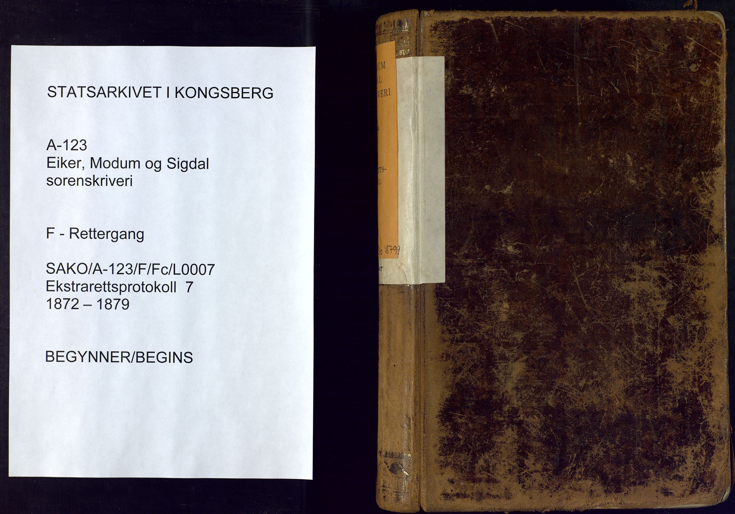 Eiker, Modum og Sigdal sorenskriveri, SAKO/A-123/F/Fc/L0007: Ekstrarettsprotokoll - Eiker, 1872-1879