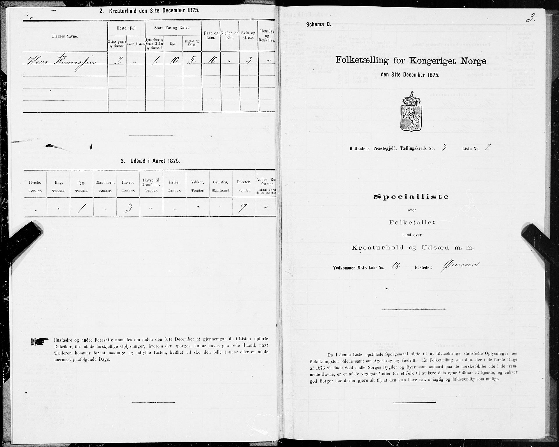 SAT, Folketelling 1875 for 1645P Haltdalen prestegjeld, 1875, s. 3003