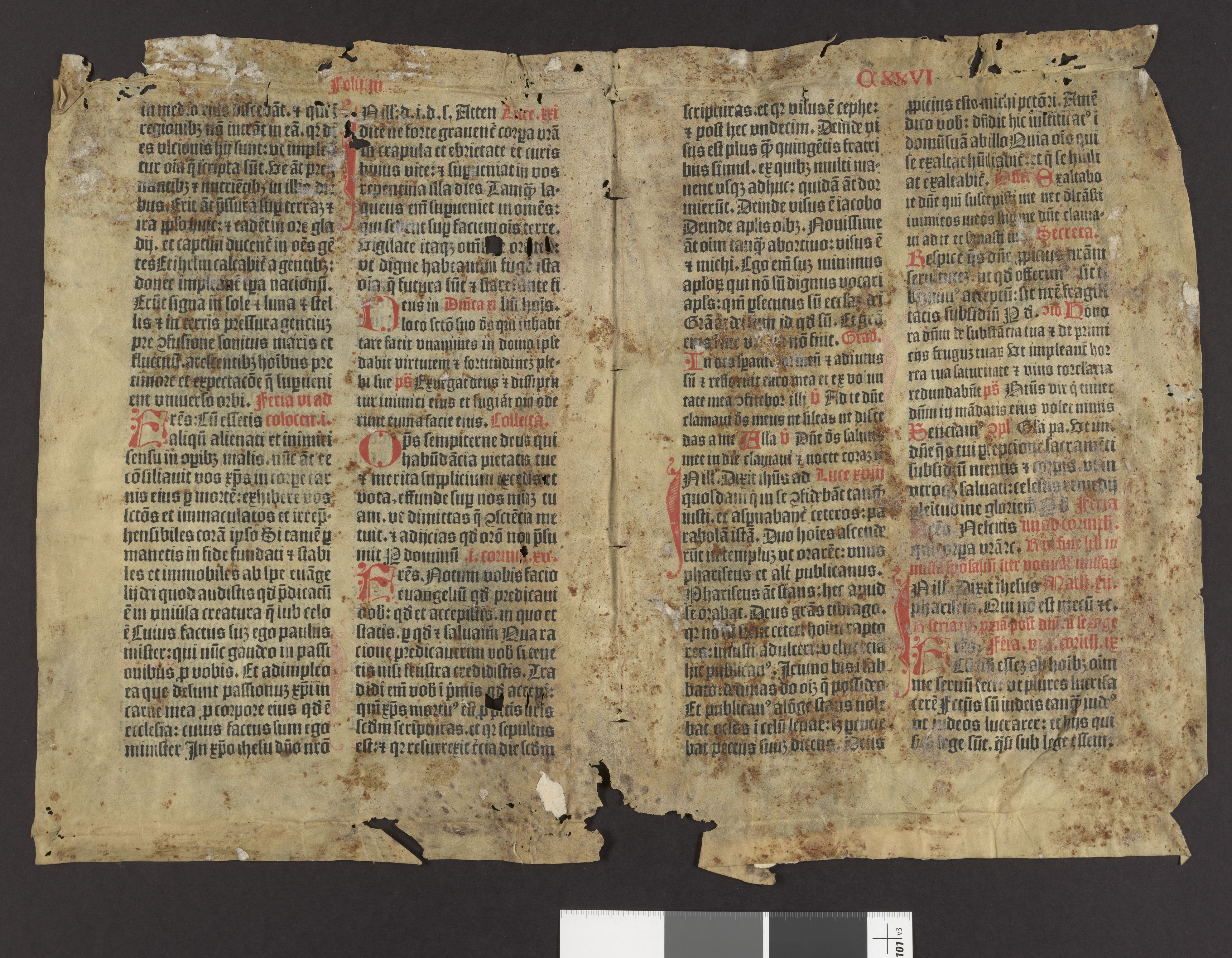 Riksarkivets diplomsamling, AV/RA-EA-5965/F27/F27A/F27Ab/L0002: Latinske fragmenter stort format, 1100-1536, s. 8