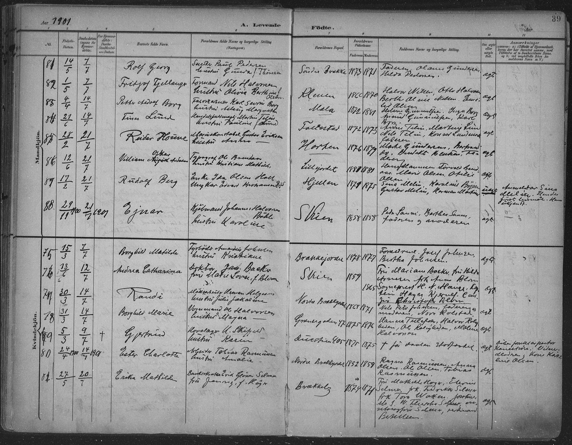 Skien kirkebøker, AV/SAKO-A-302/F/Fa/L0011: Ministerialbok nr. 11, 1900-1907, s. 39