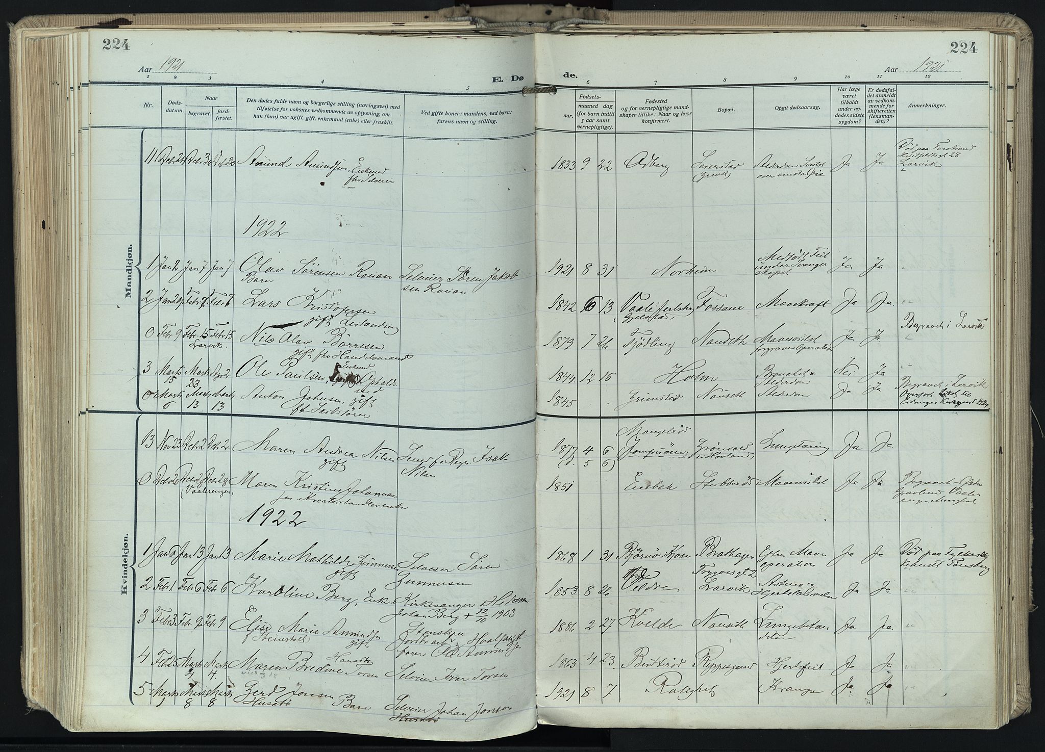 Hedrum kirkebøker, AV/SAKO-A-344/F/Fa/L0011: Ministerialbok nr. I 11, 1919-1933, s. 224